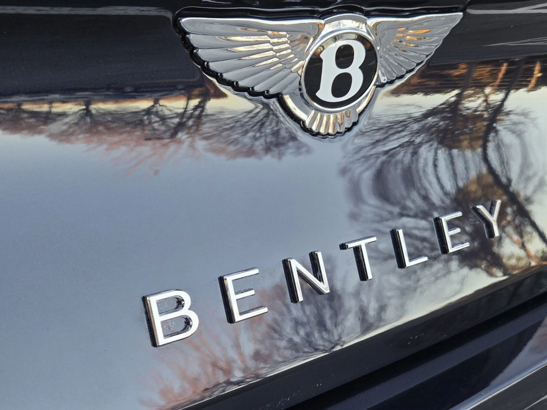 mph037_2618733982_ea25d013512d158662ecd43c8dd5693dx_5e169d3a8d