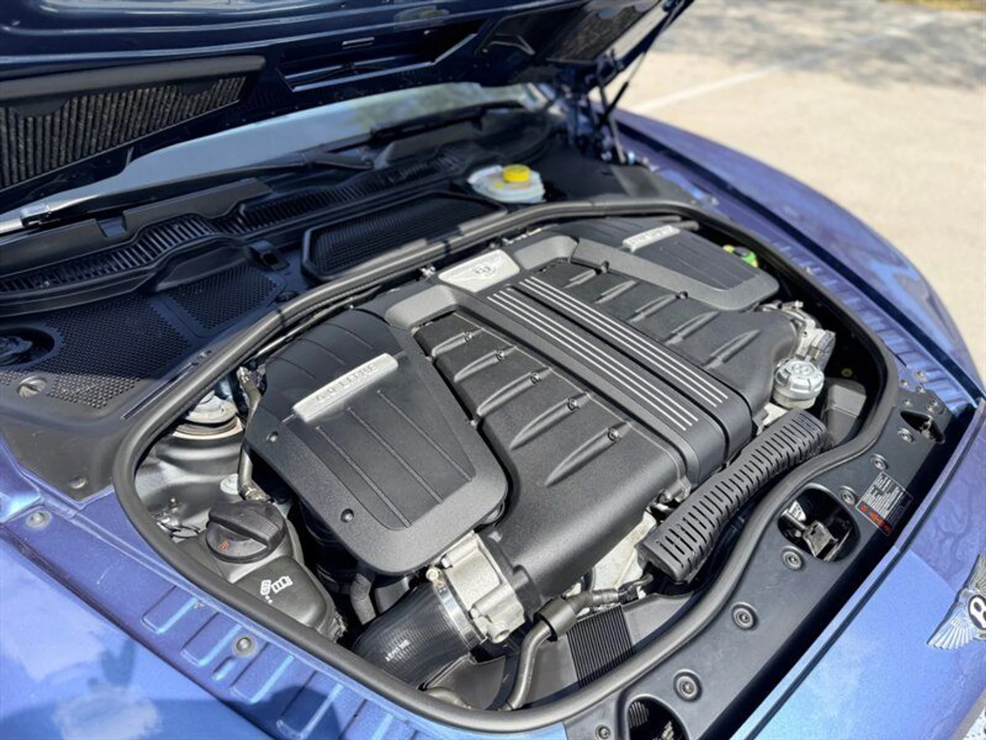 mph037_2625743743_2f4bf805f5_800_8bce115a6f