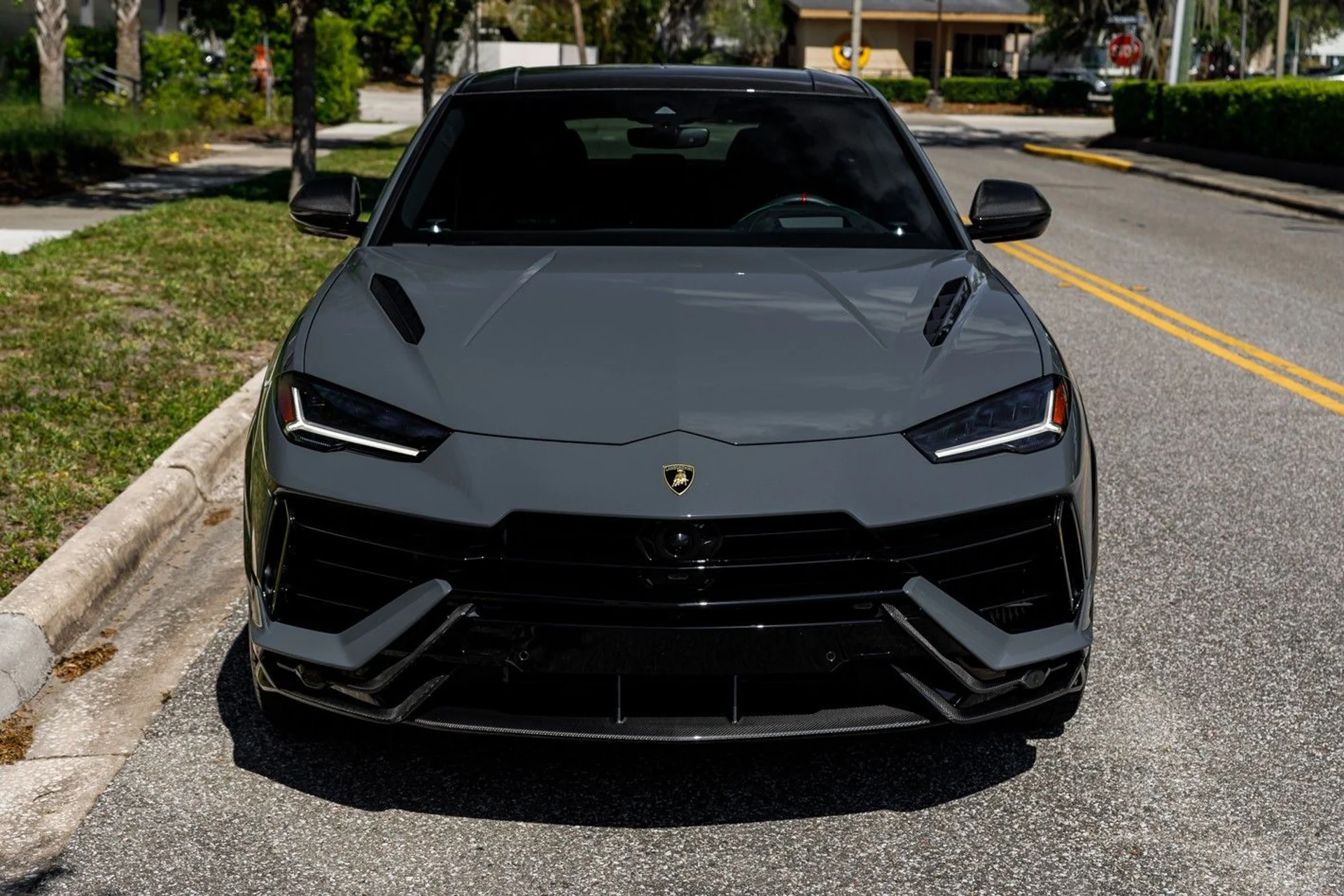 mph037_2767282510_667_p38_l_0dc579212a