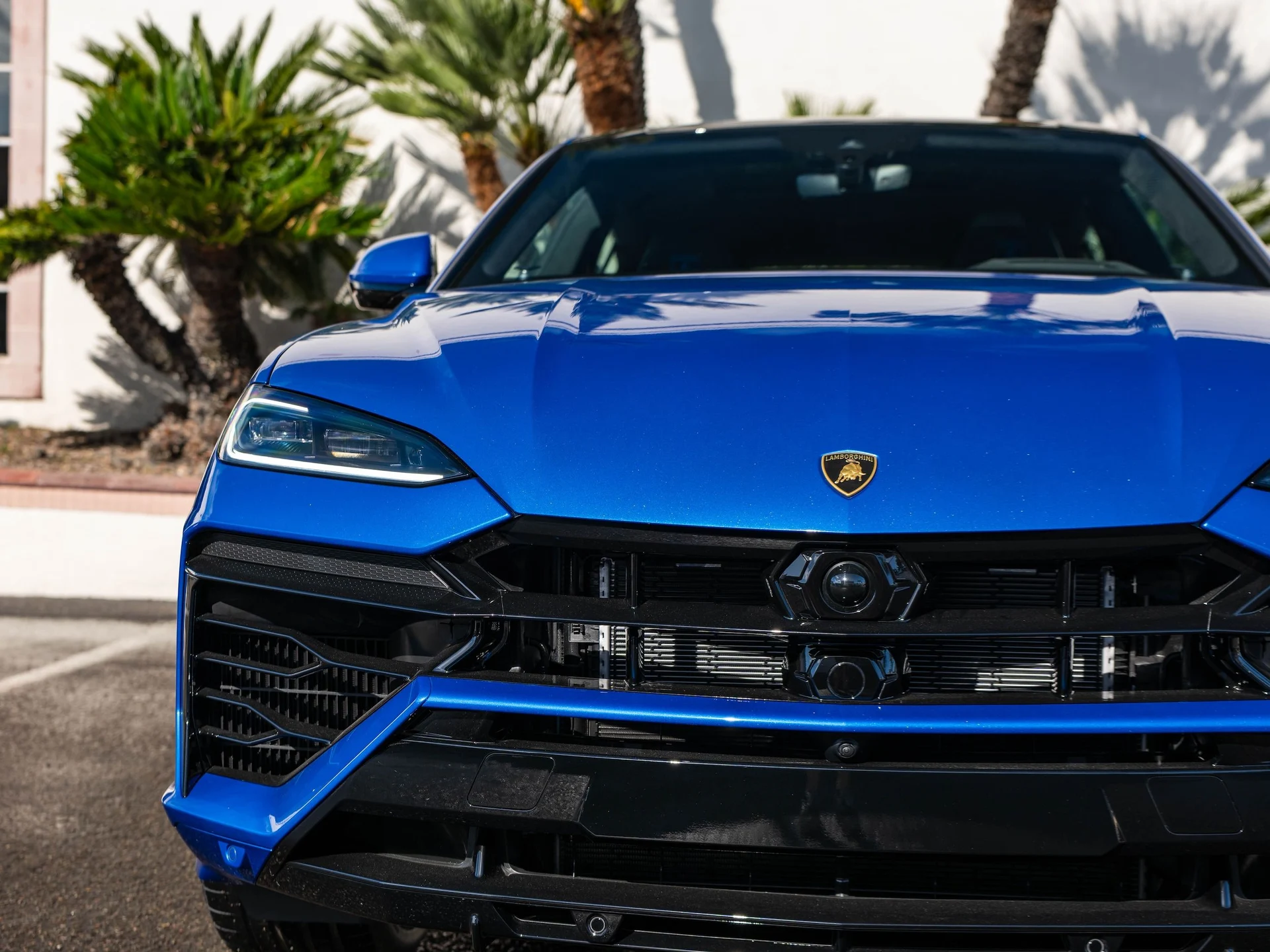 mph037_2808075648_89fe95cf36c24388a37a06f1c3a43030_cc5a5c9fdc