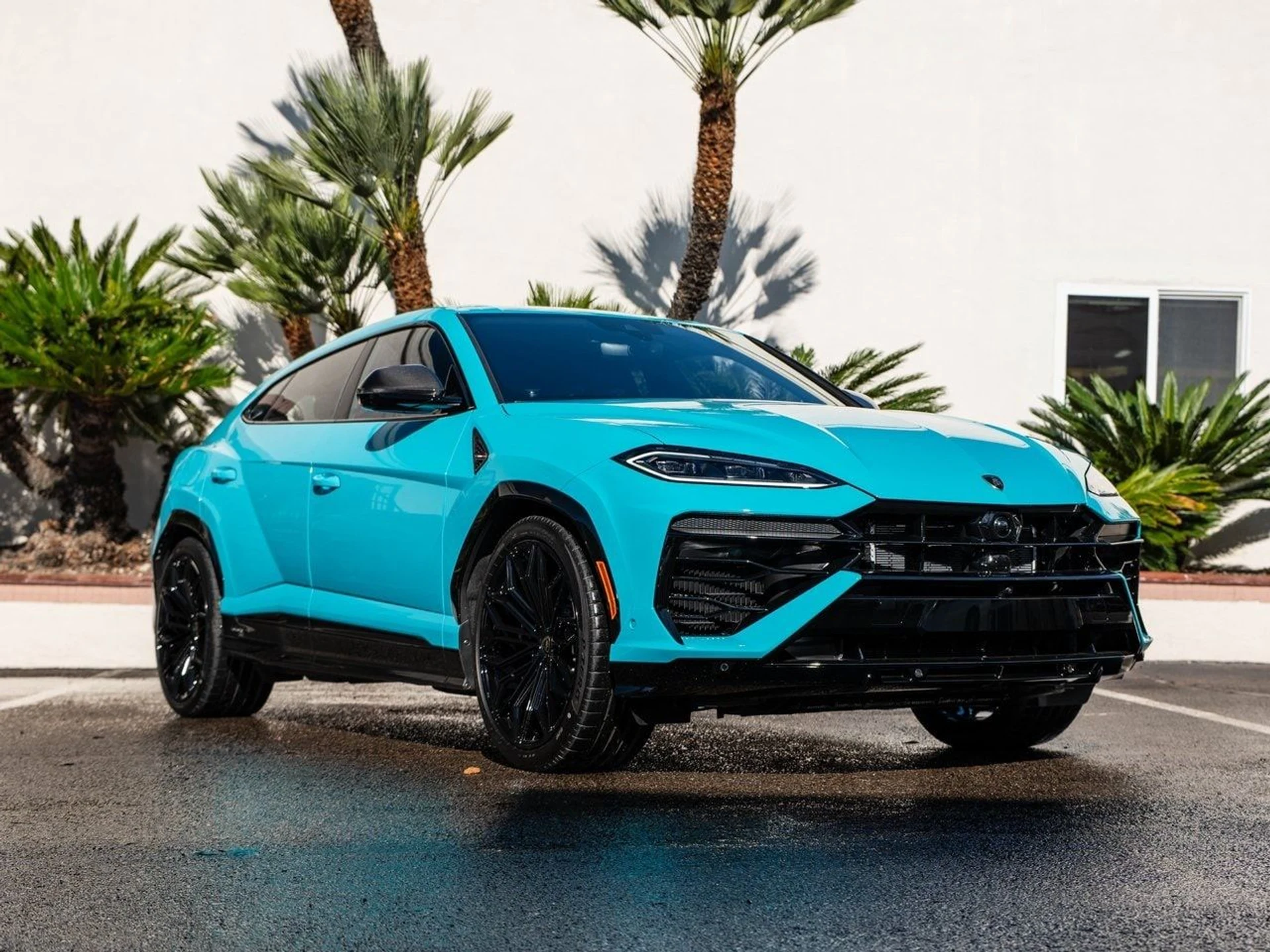 mph037_2934628375_a9a32f93933a13148643f7c47acb621bx_7a6dd60244