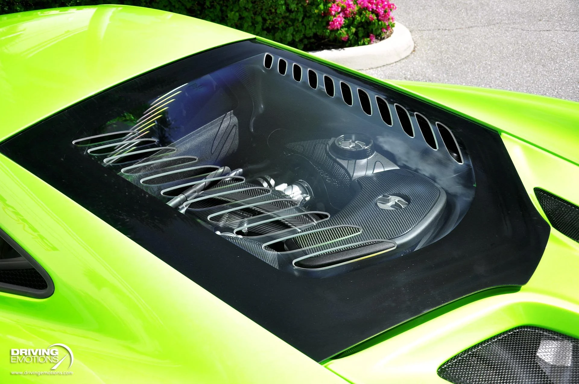 mph037_2973795161_855_p38_l_014ed9bab7