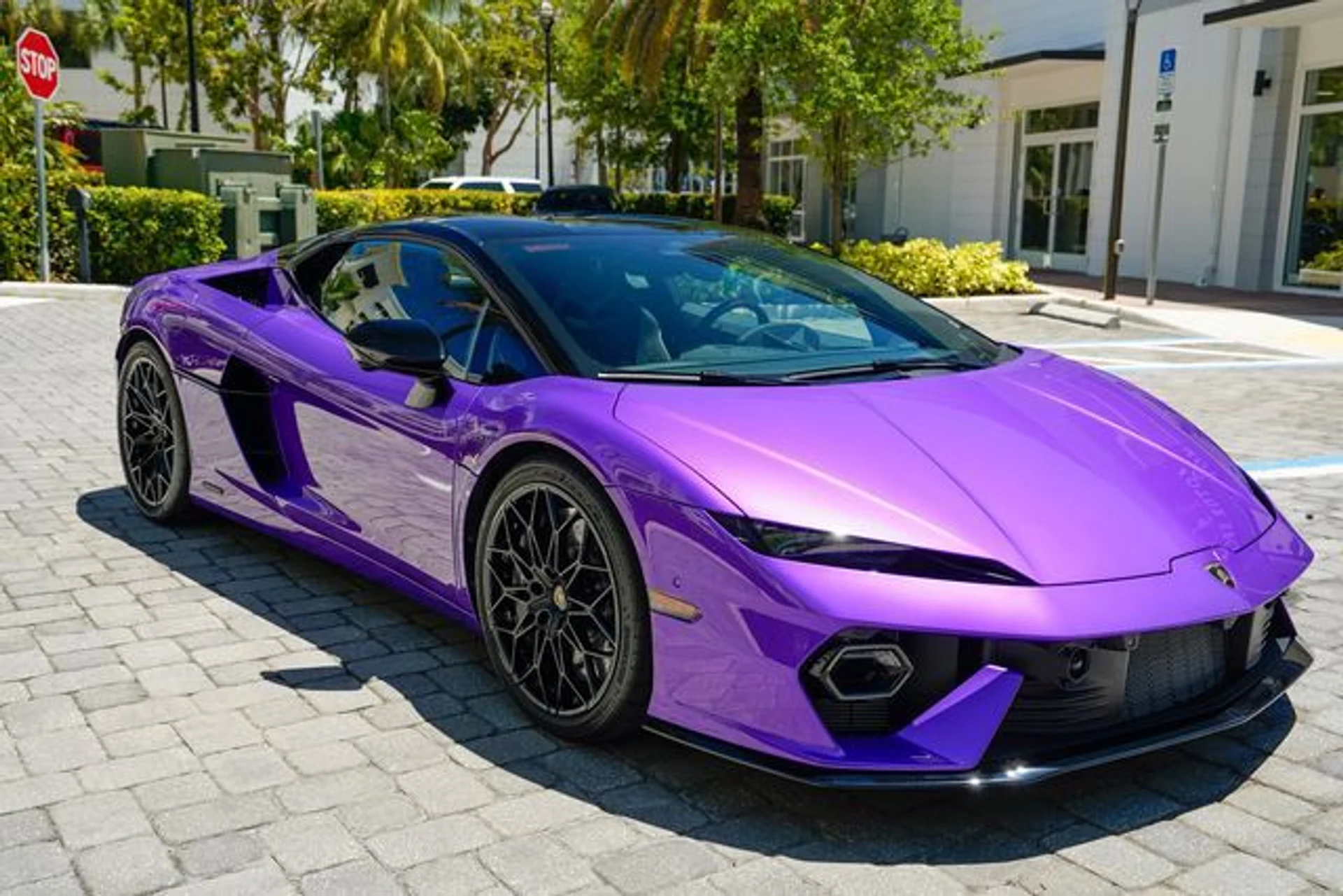 mph037_298474887_23014494_38_e05e6fb793