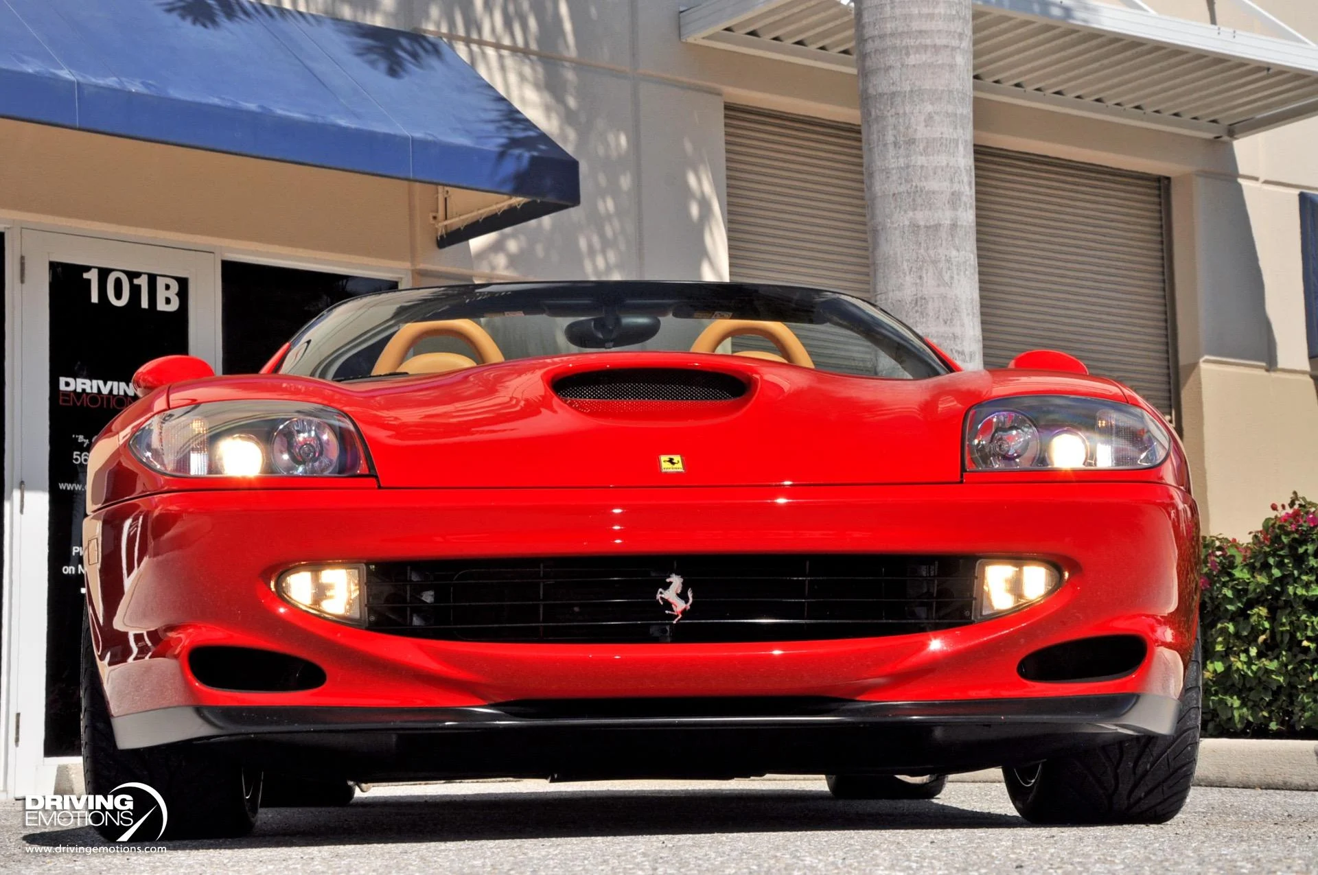 mph037_3077309321_437_p38_l_5264bd4c68