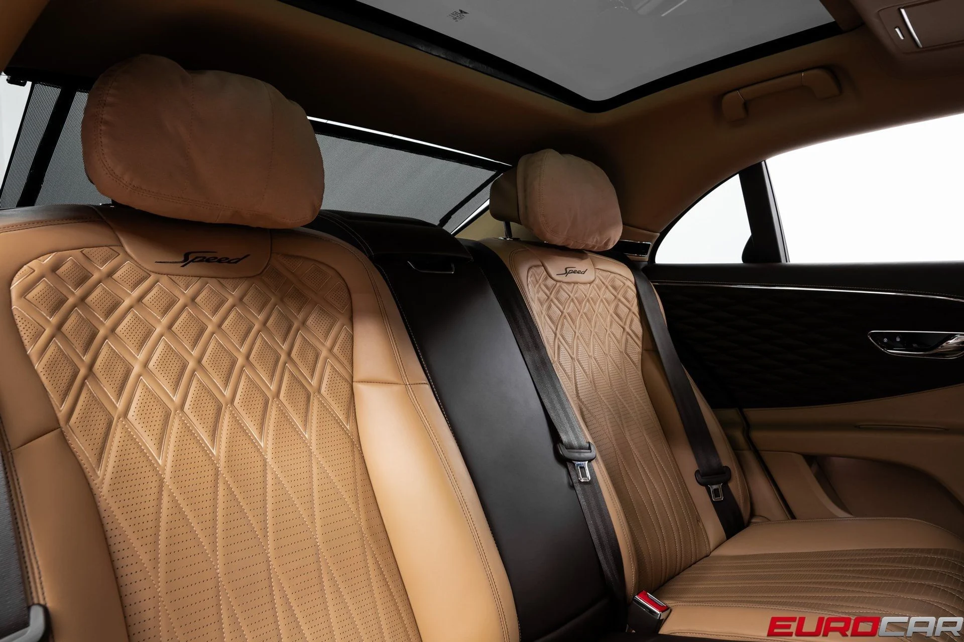 mph037_3151194464_image_38_bf2564a94b