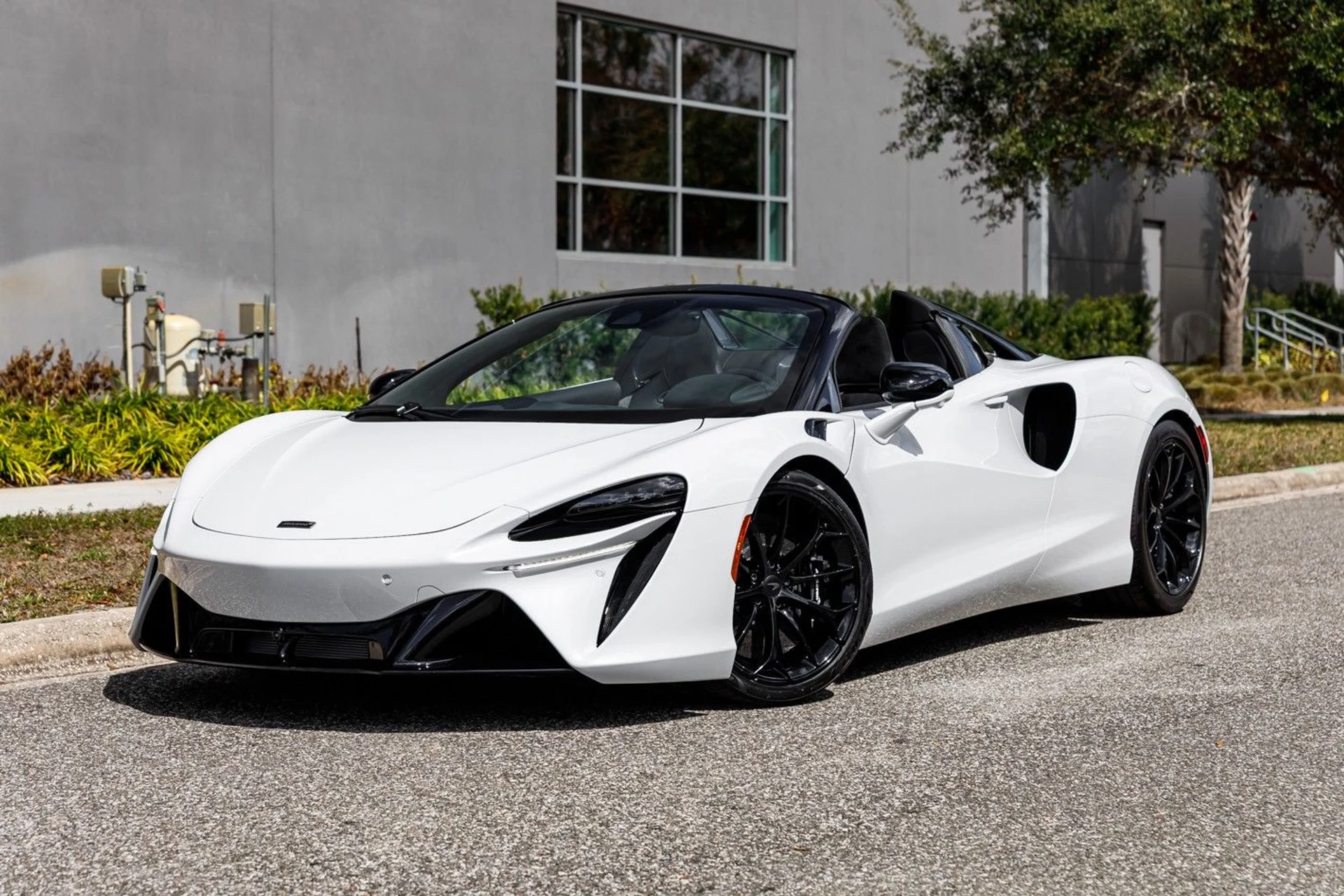 mph037_3155041884_658_p38_l_93d5bd7a8b