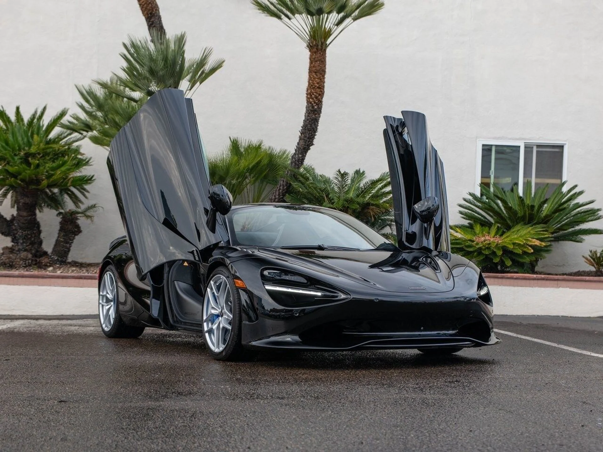 mph037_3191904331_a7a7519ea088dbc99e2c2a07f4a4dd9bx_8495d5b4c9