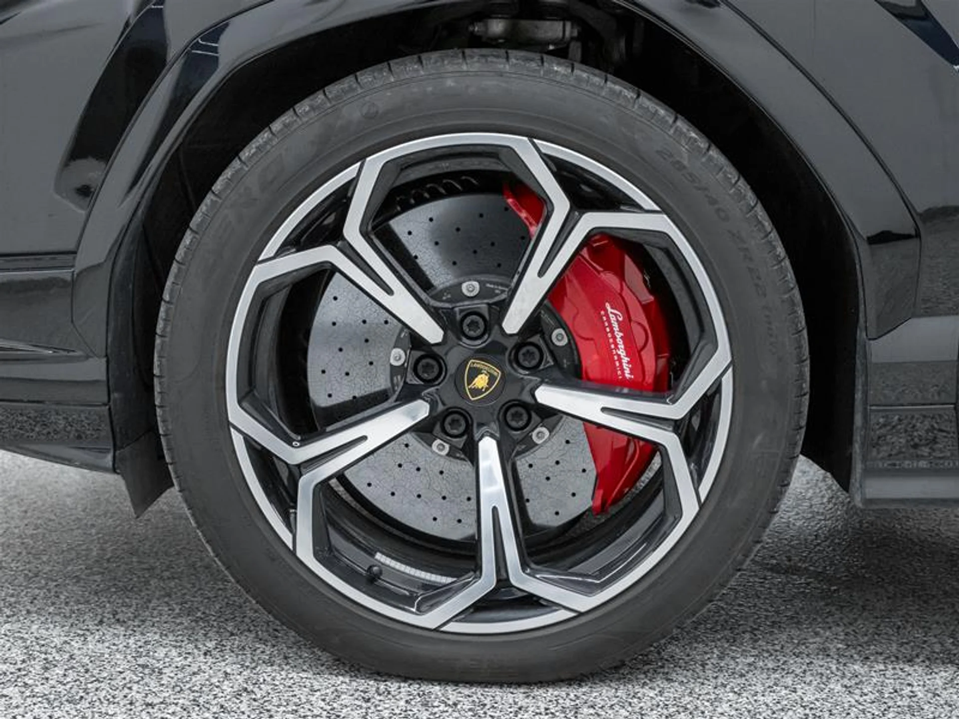 mph037_3201774451_11639324_1552972731_b5a0191e83