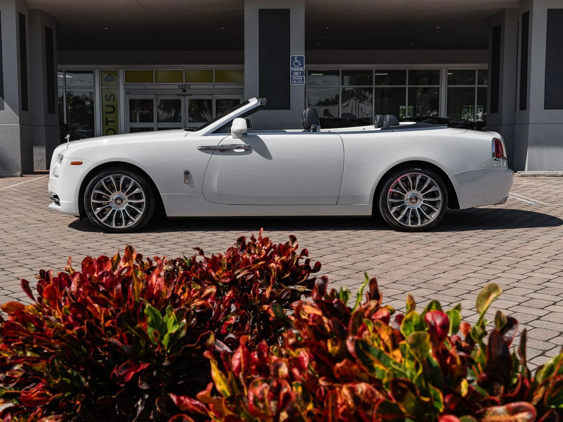 mph037_3259878069_Used_2019_Rolls_Royce_Dawn_1761832875_cd1c43c0a8