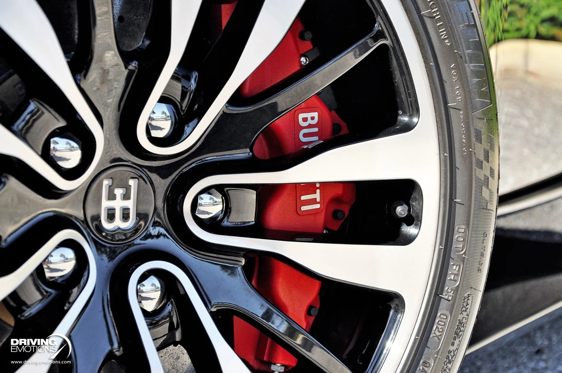 mph037_3471147214_479_p38_l_076fe04707