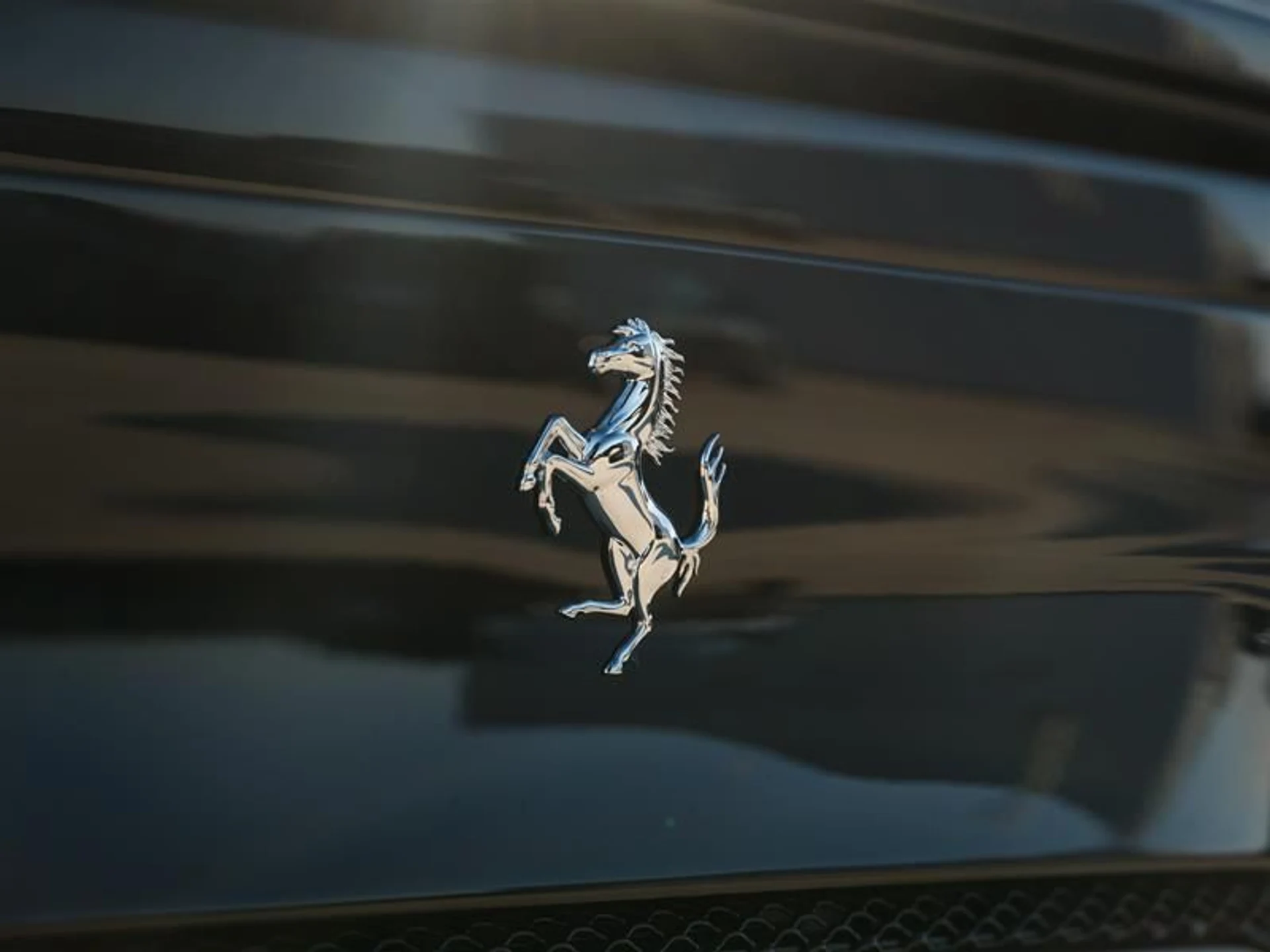 mph037_3499509331_0eyetgev_2b698324cf