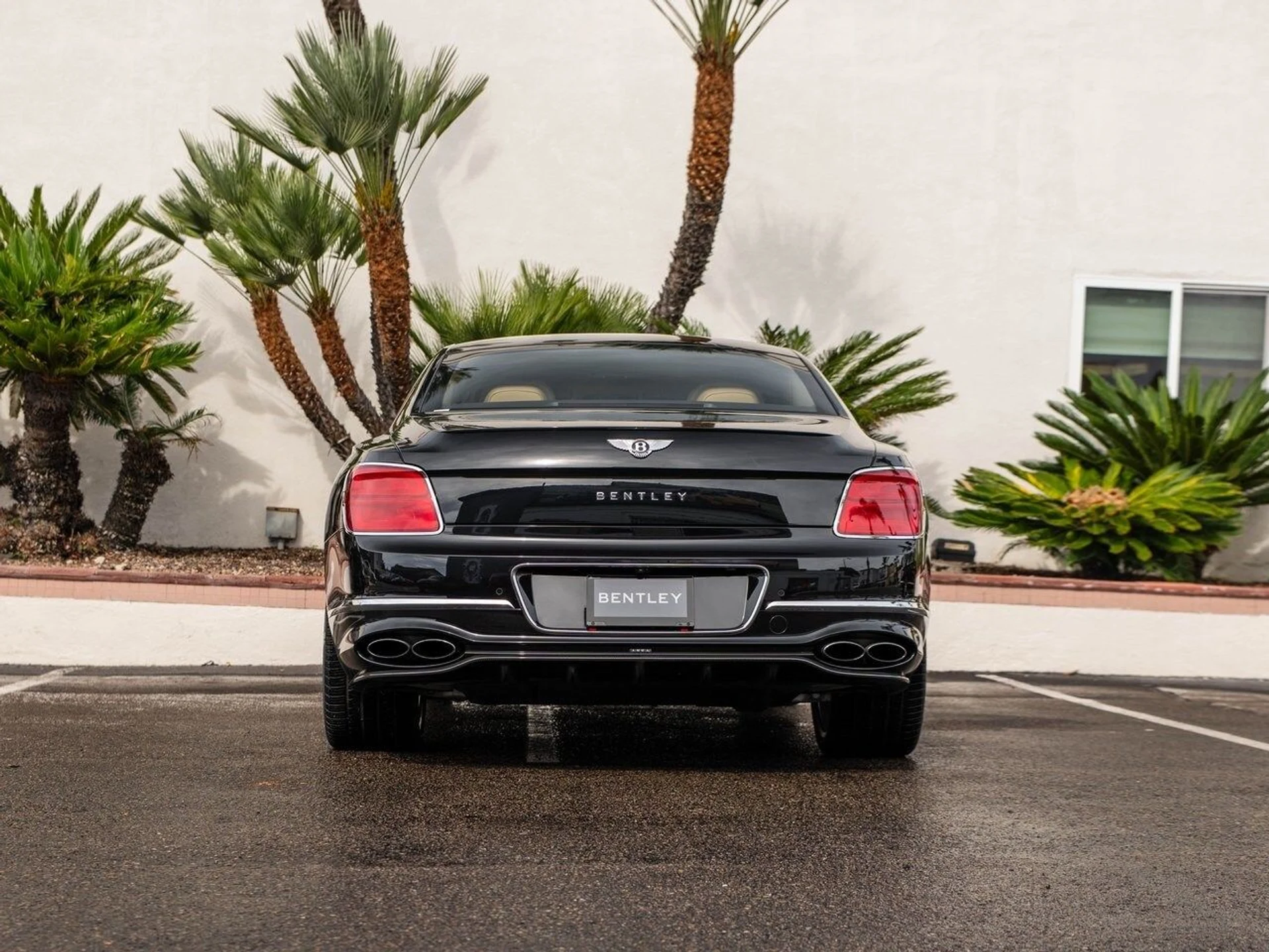 mph037_3577760142_3434c8133048506292d44e4cf85f20f3x_7e26c300e1