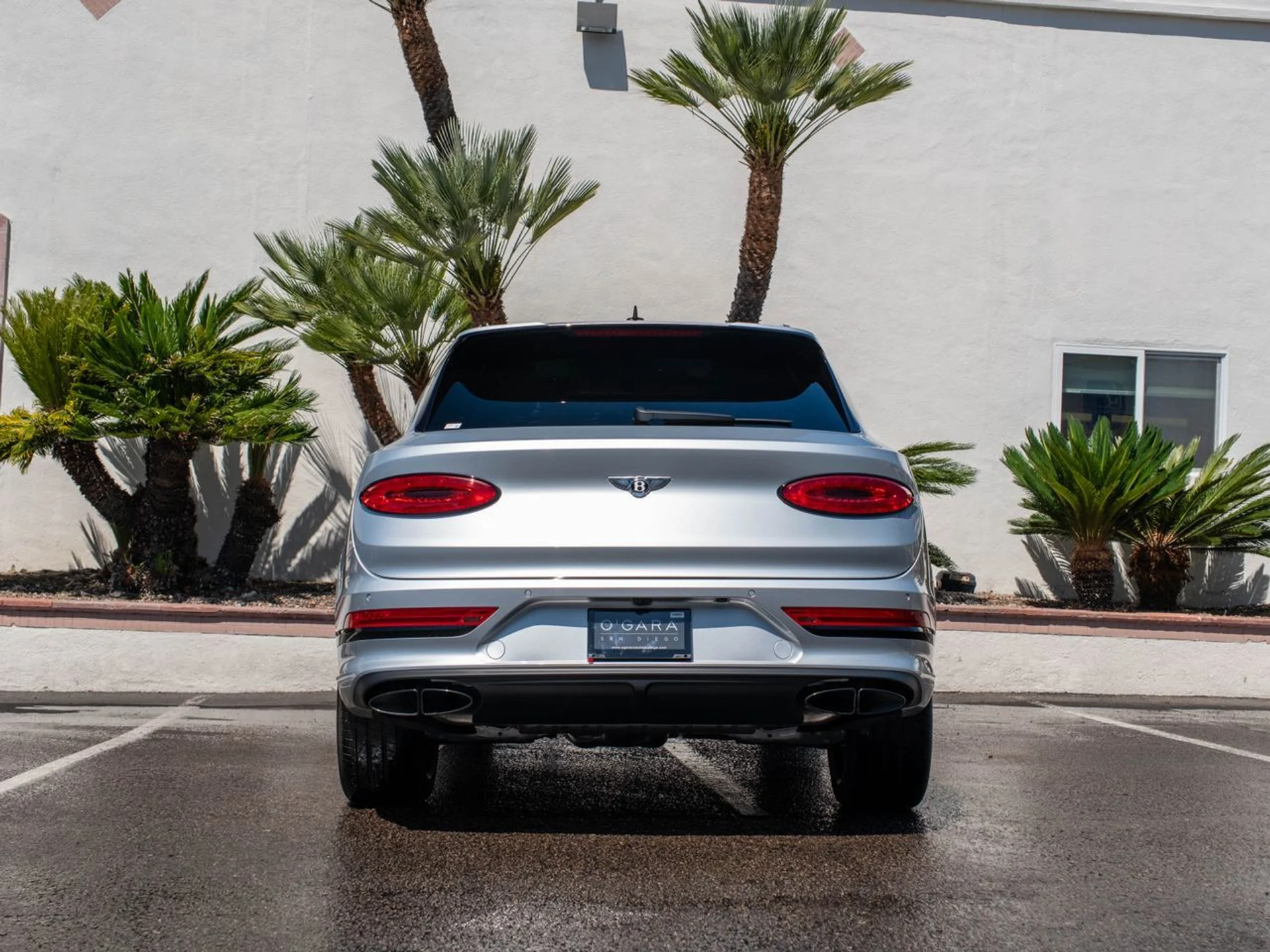 mph037_3635925147_63970a147ac73f97f17aa215fb511ddbx_8714d57e06