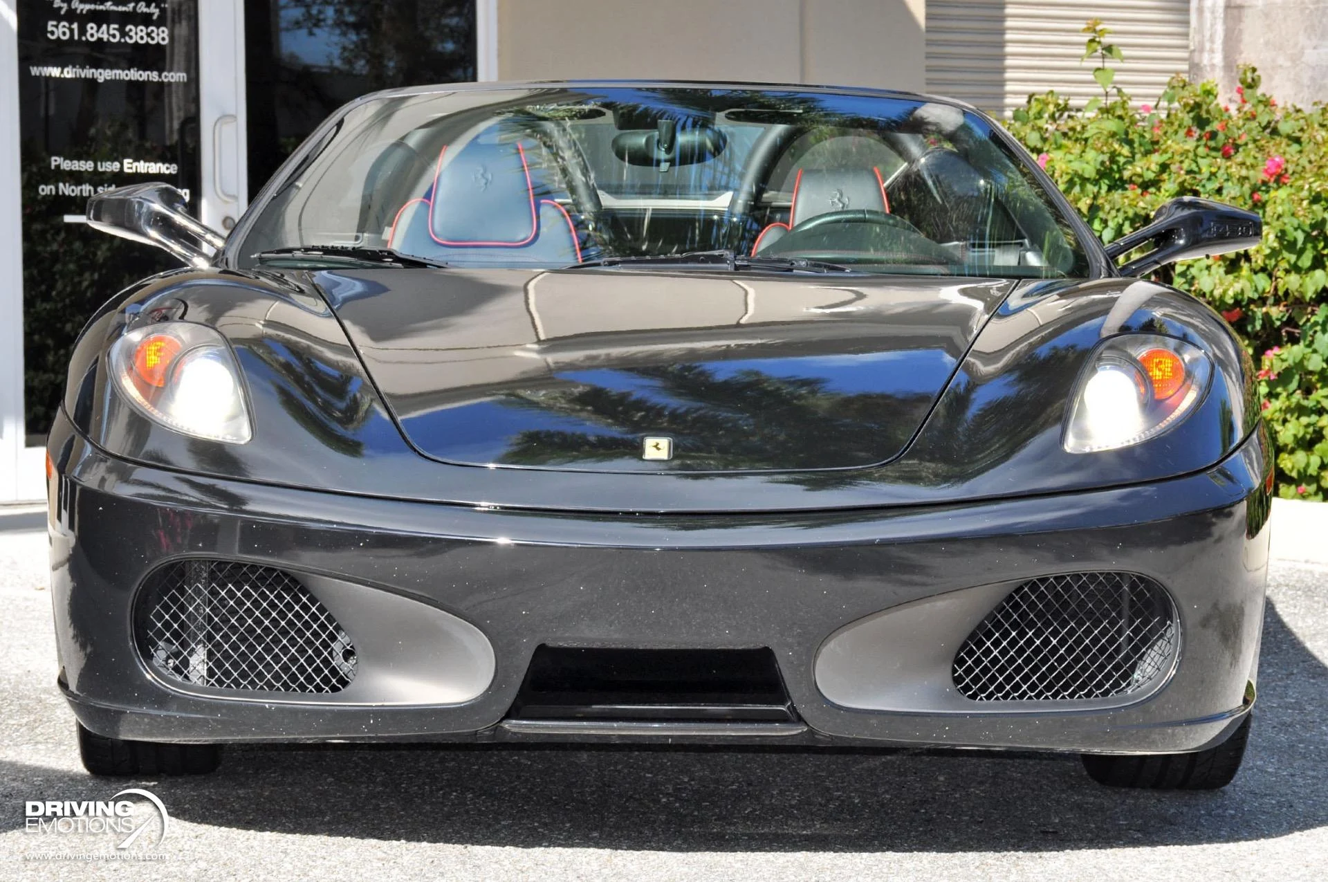 mph037_3650411691_885_p38_l_080db5a759