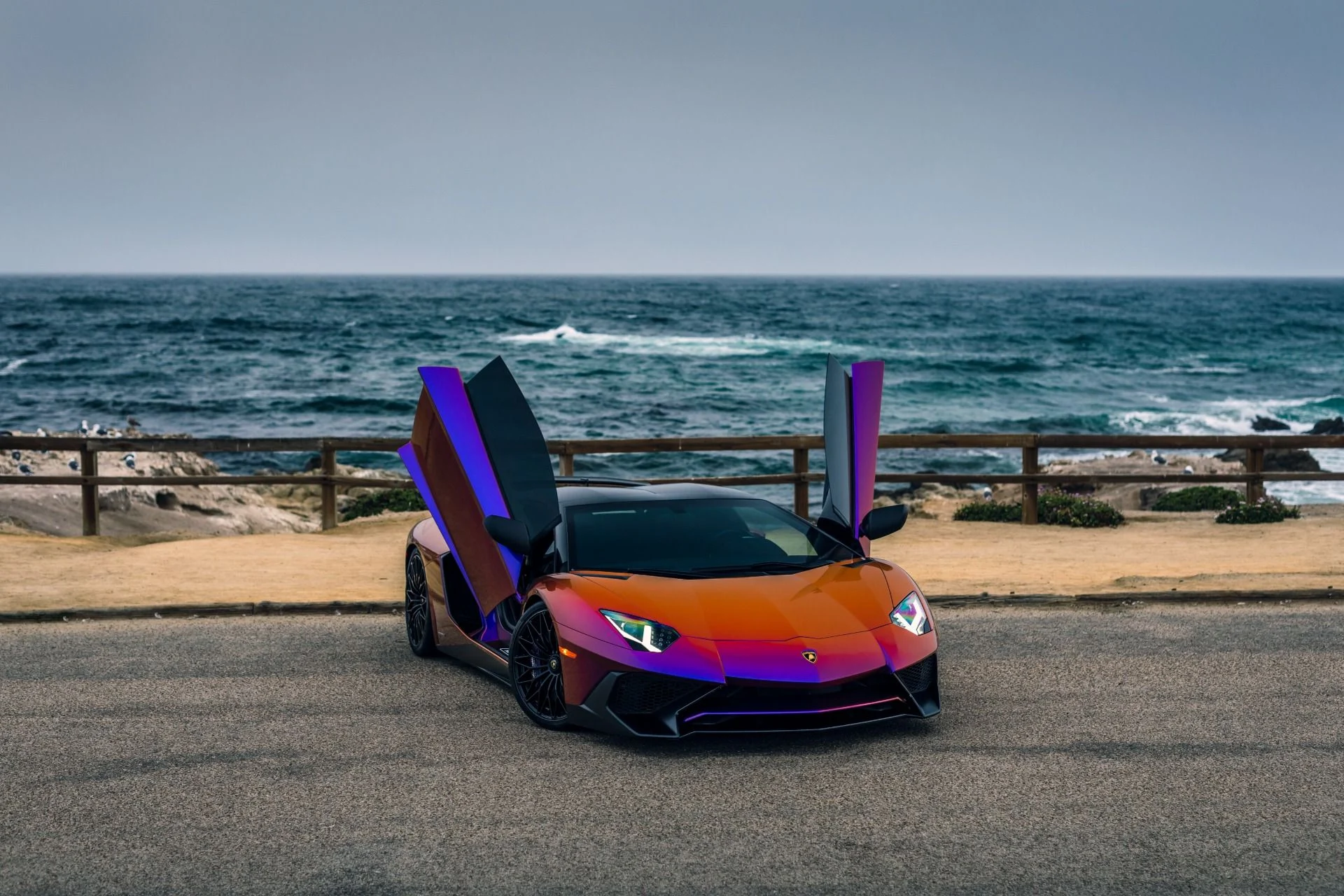 mph037_3796022044_8742_p38_l_cc8546be39