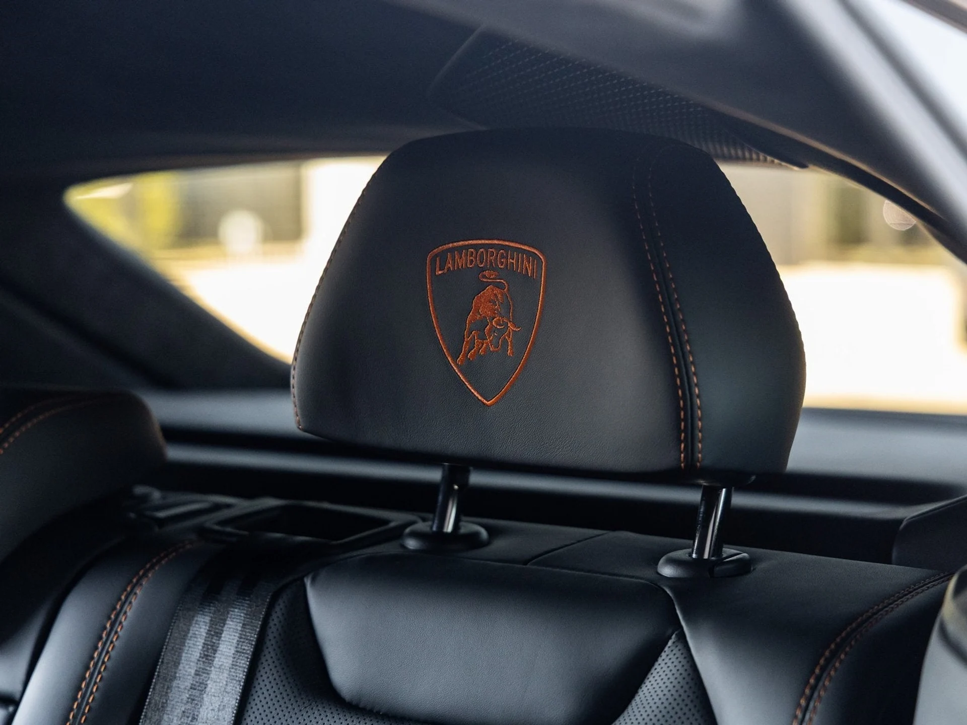 mph037_3860344684_38_ee7d3f3460