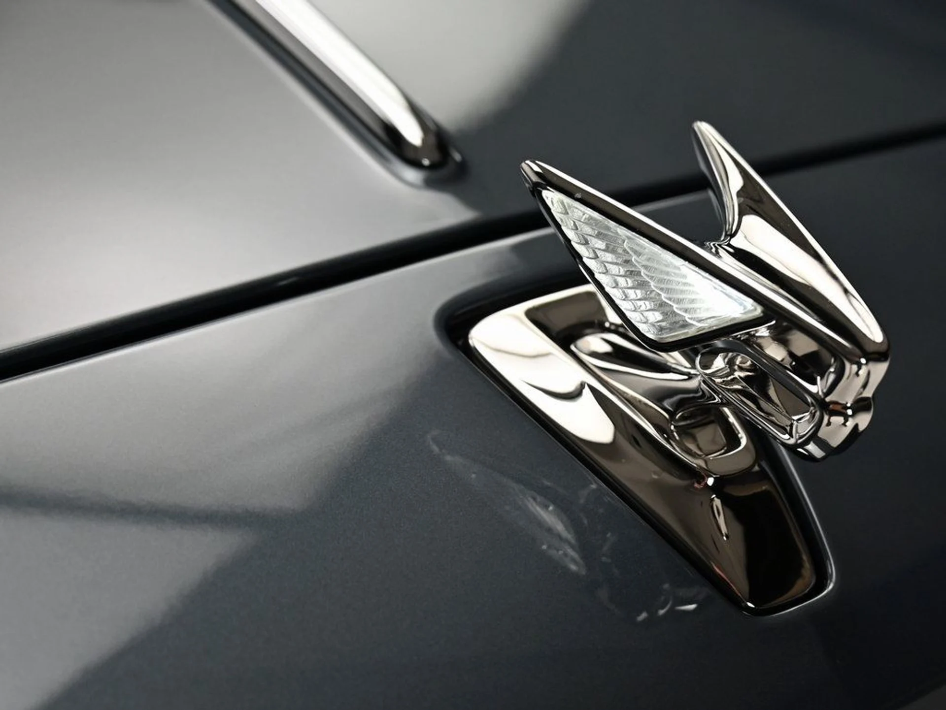 mph037_3884808083_06af64da9a01da4f5d70f6a8ce6fce57_b62446b27f