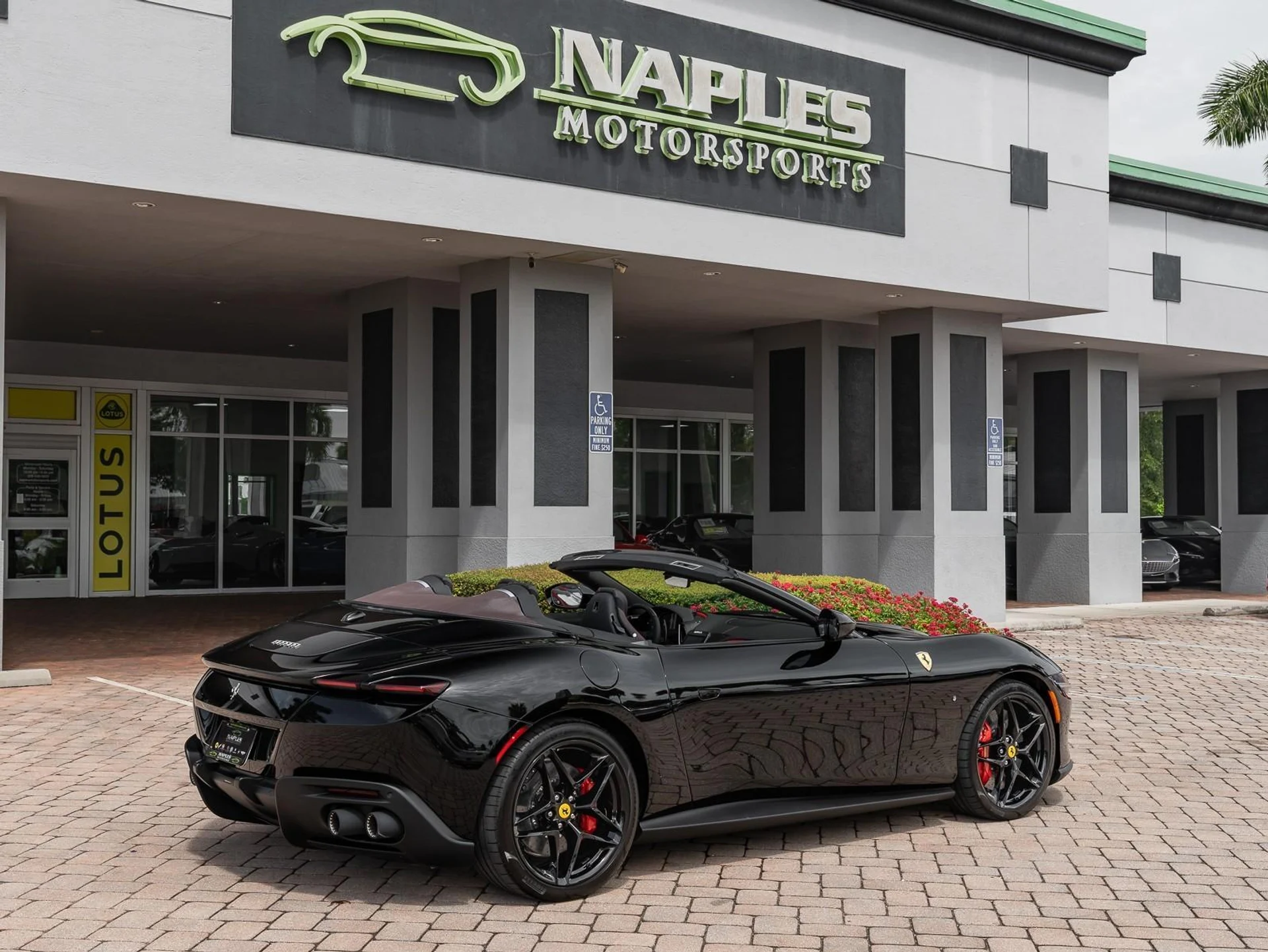 mph037_3922623000_Used_2025_Ferrari_Roma_Spider_1759774244_244903a567