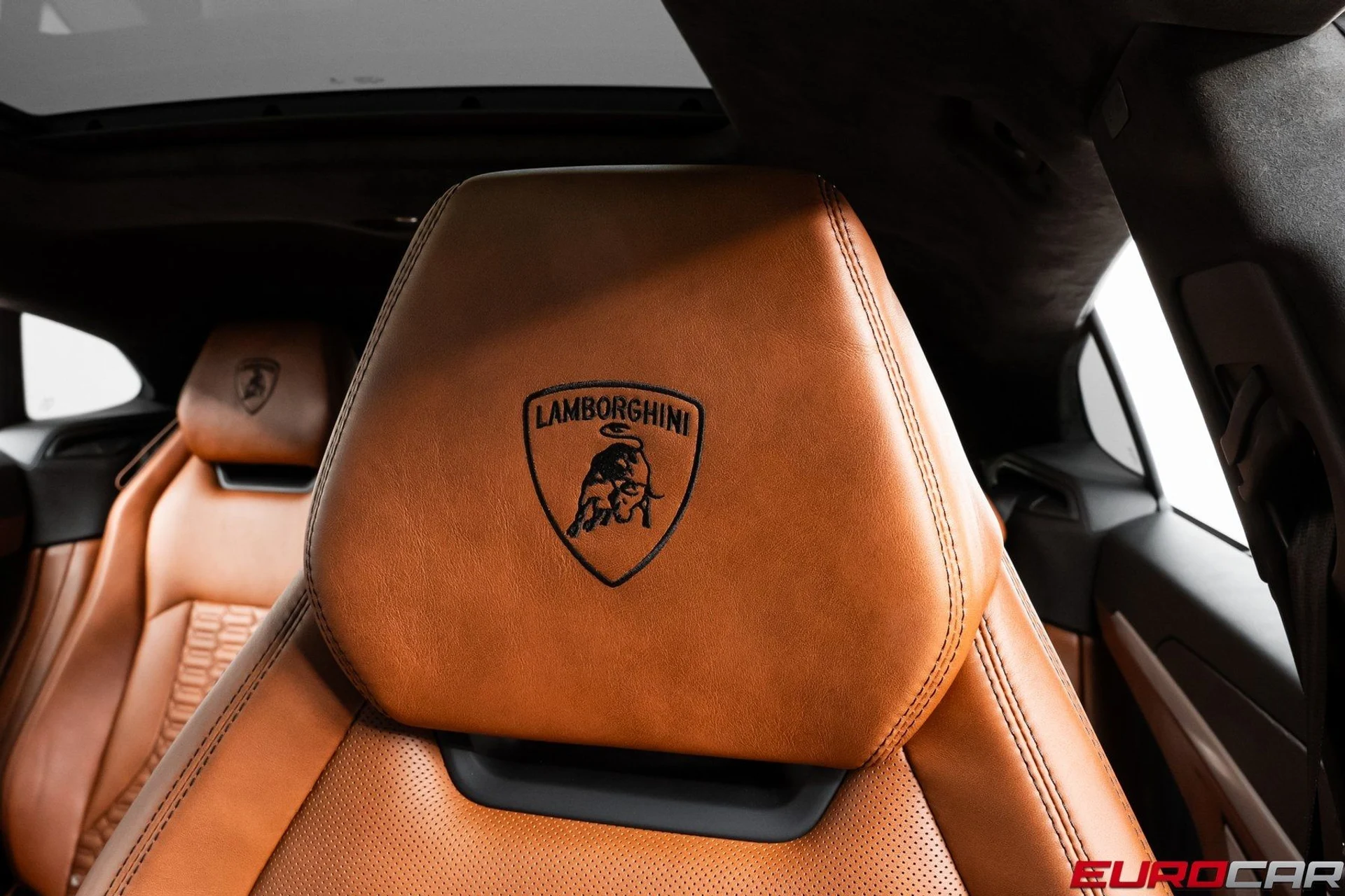 mph037_3933133896_image_38_f701029e83