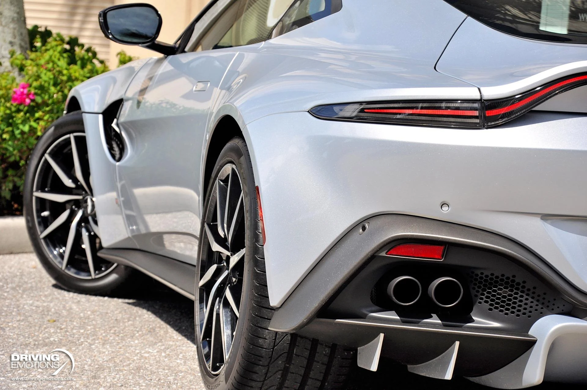 mph037_396649673_880_p38_l_ec4f69692c