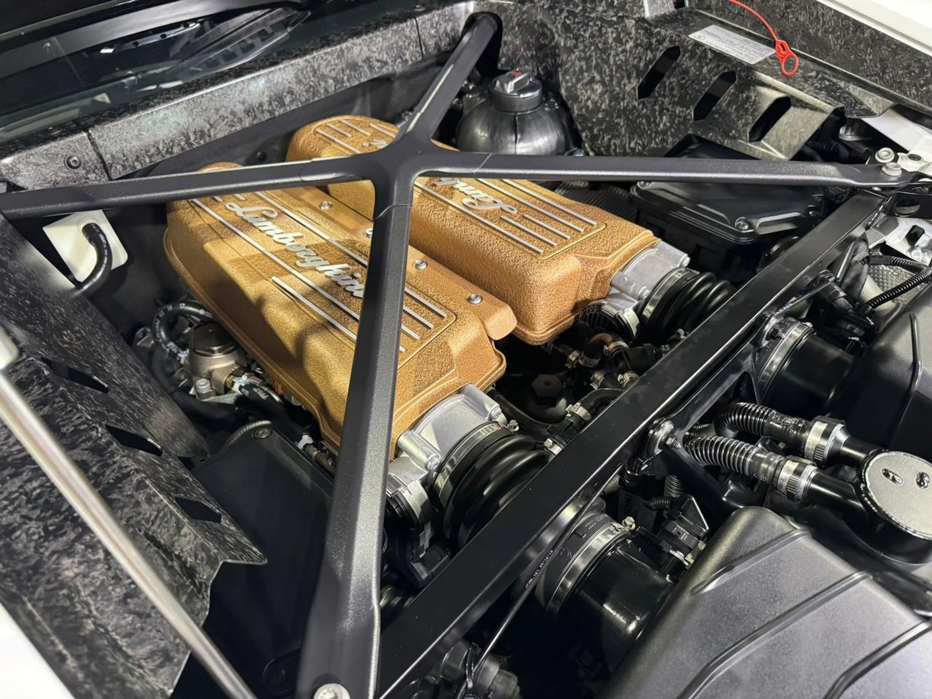 mph037_4212445226_5fbdcf38df7d1ddea514f8a424b37de6_c9e61ee12a