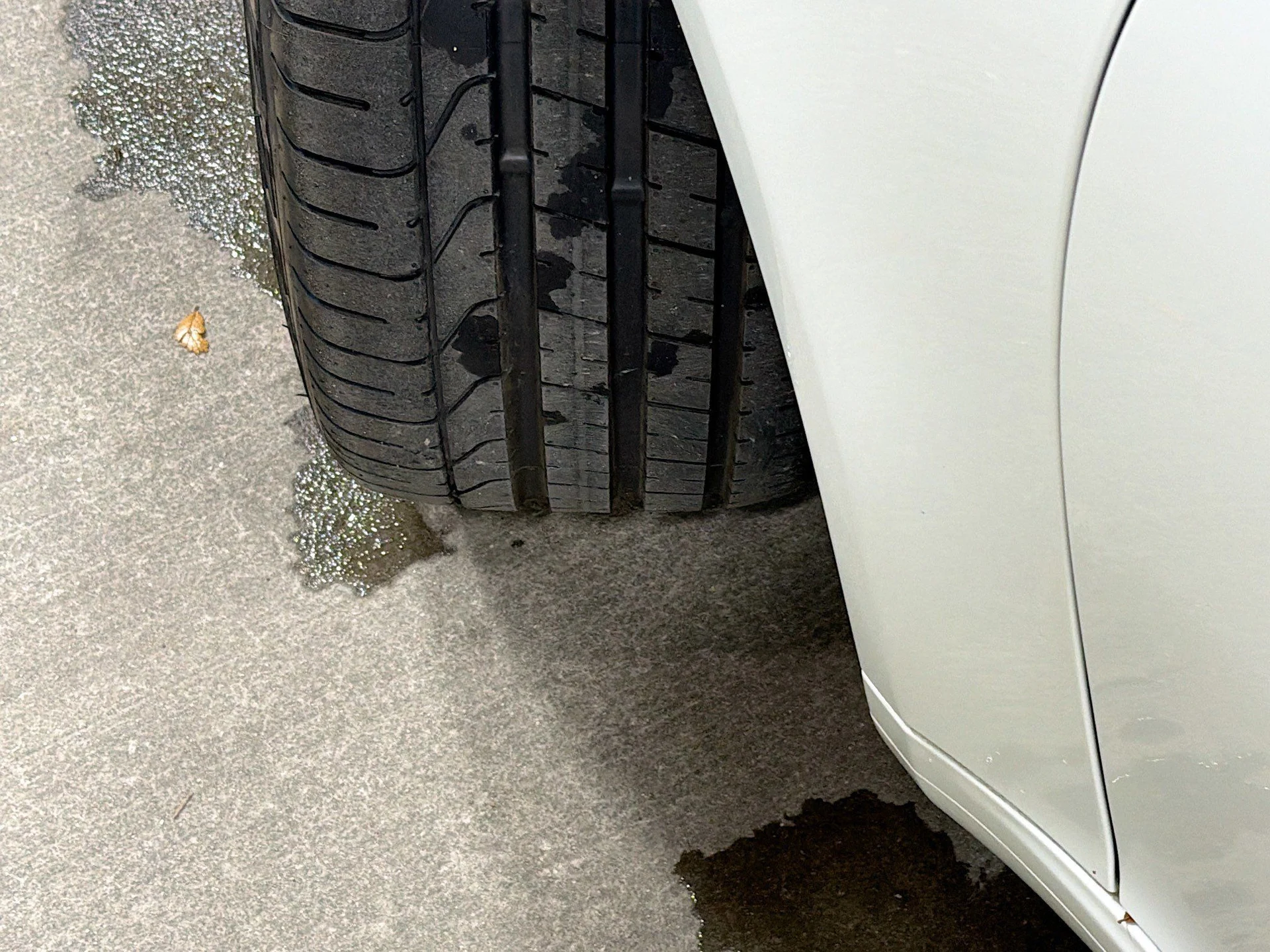 mph037_4250077512_0d403de64cff674bab094f6040244bb9_ddd5c34c8e