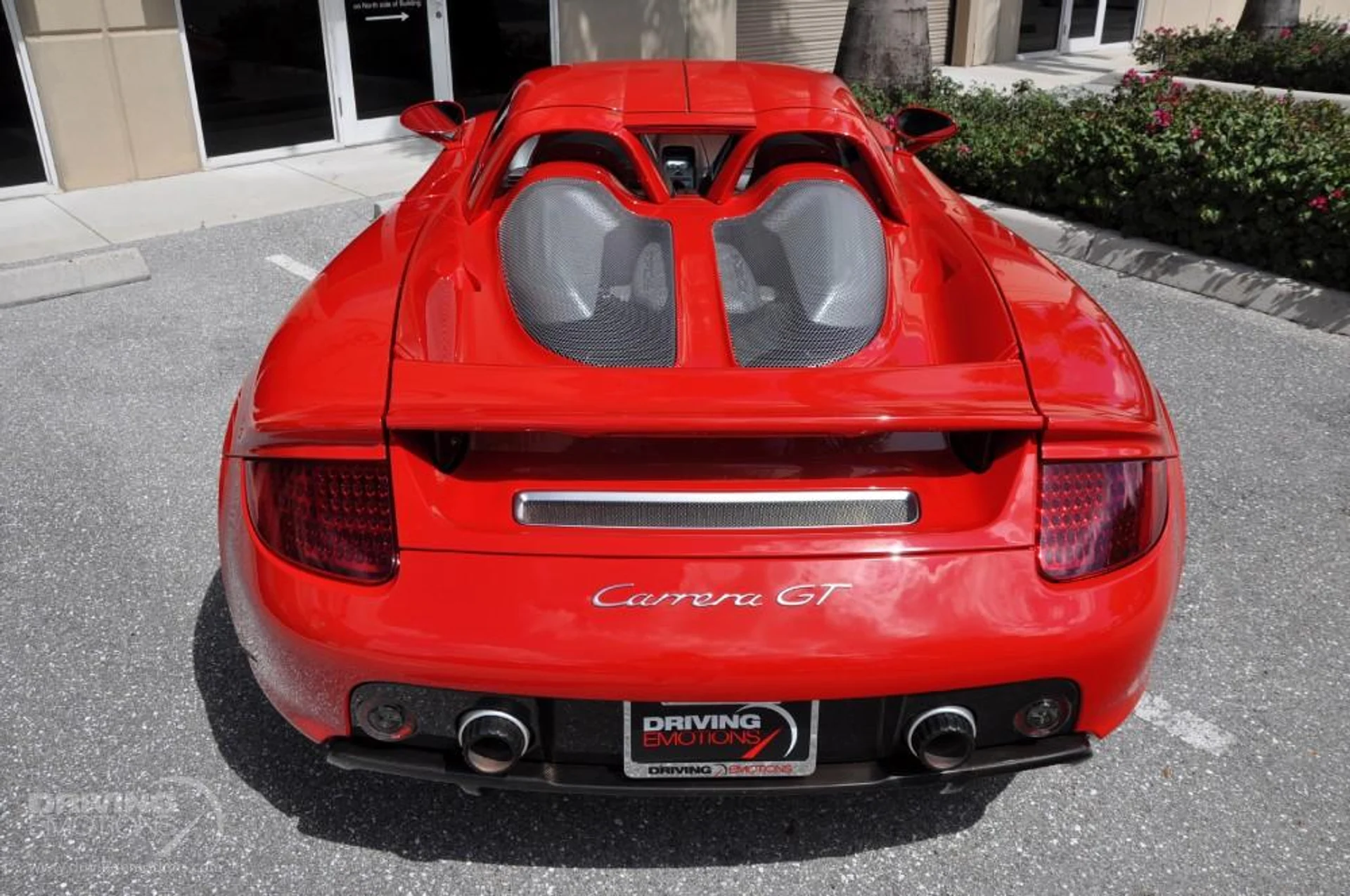 mph037_567079581_186_p38_l_0dd6a76de9