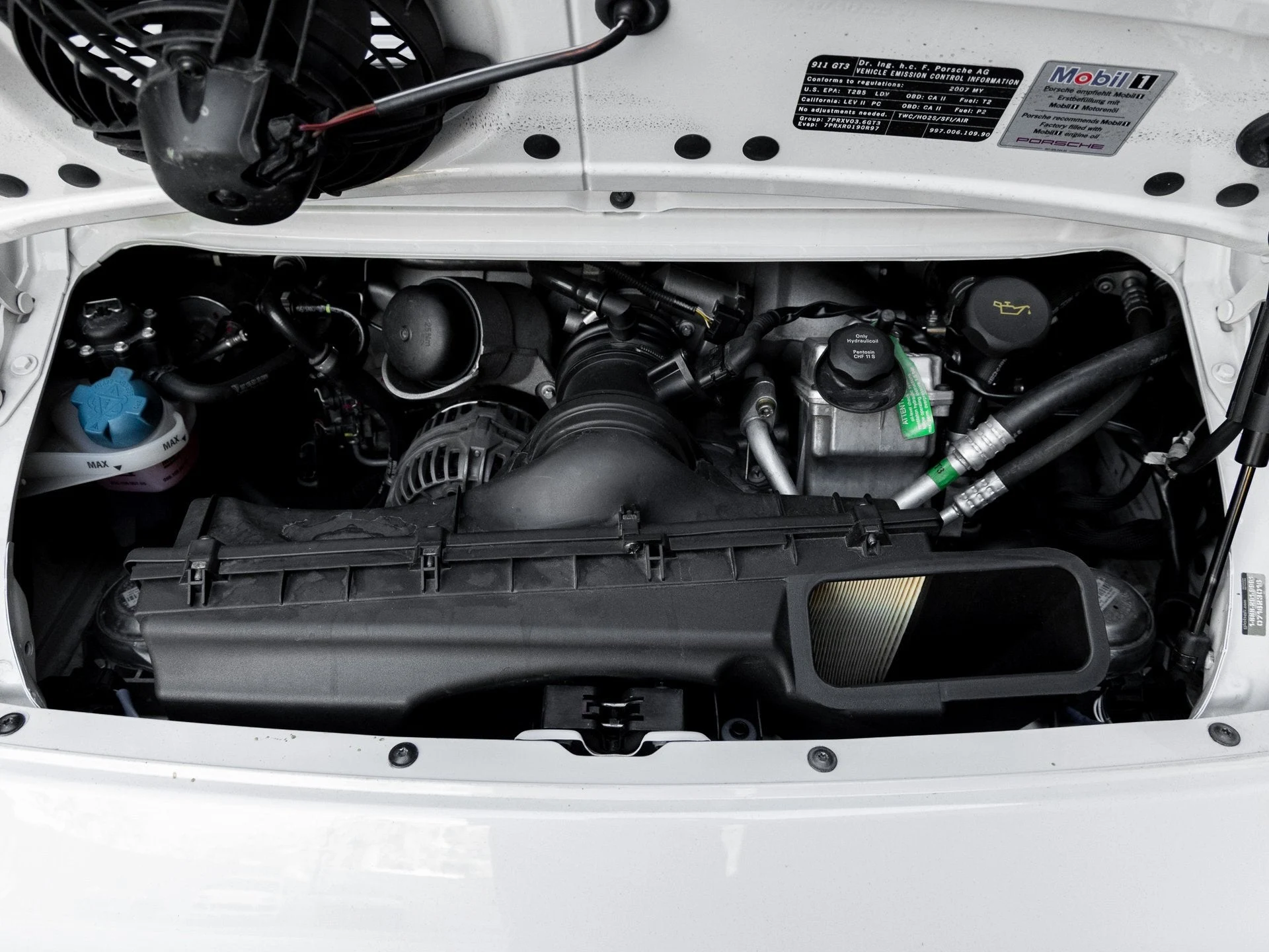 mph037_601128761_38_43d5c402e3