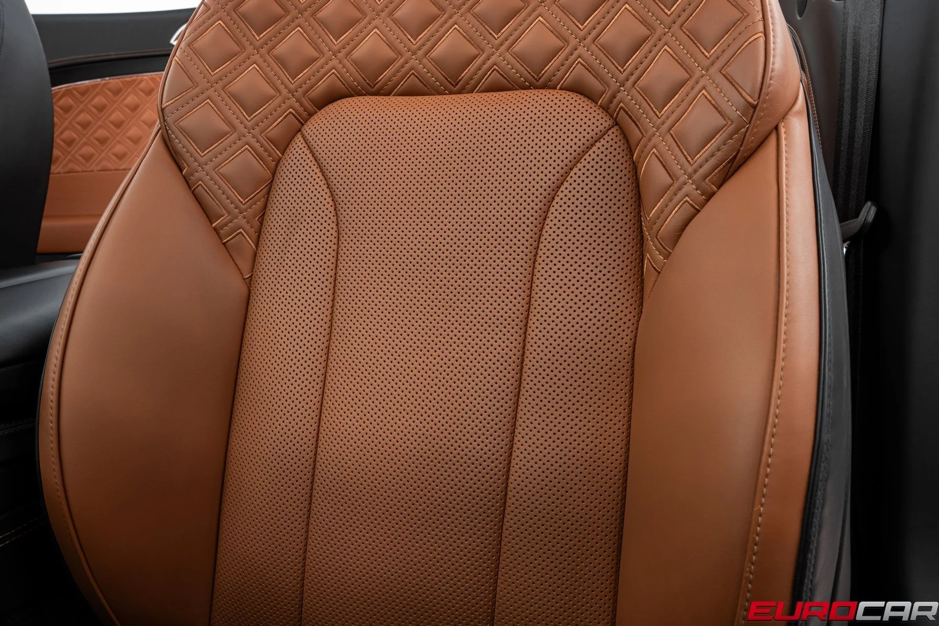 mph037_700460838_image_38_d4d6cc2a54