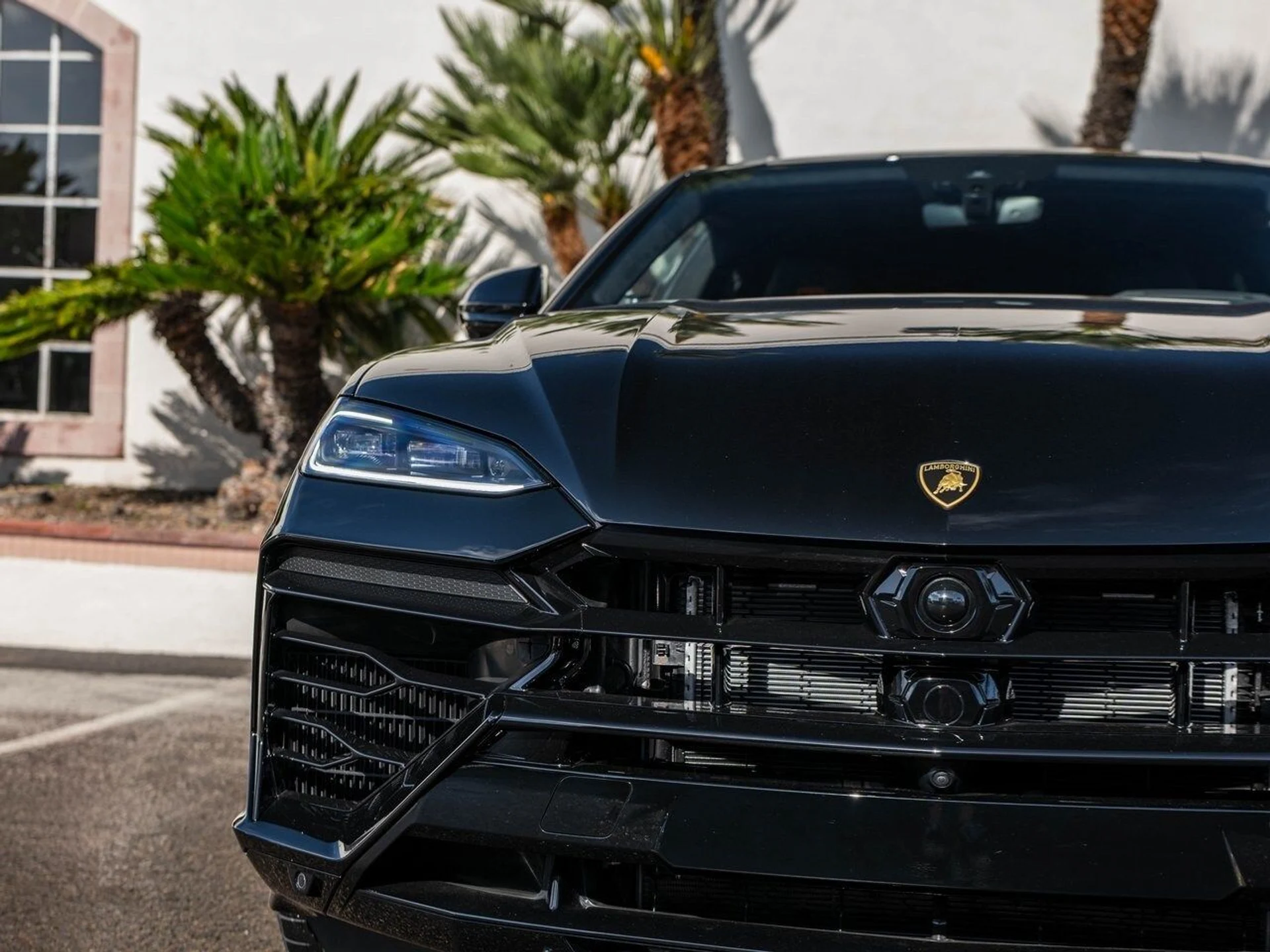 mph037_790019452_bf8e15d0fd7bb83a901b8ec1abab245bx_880e51a81b