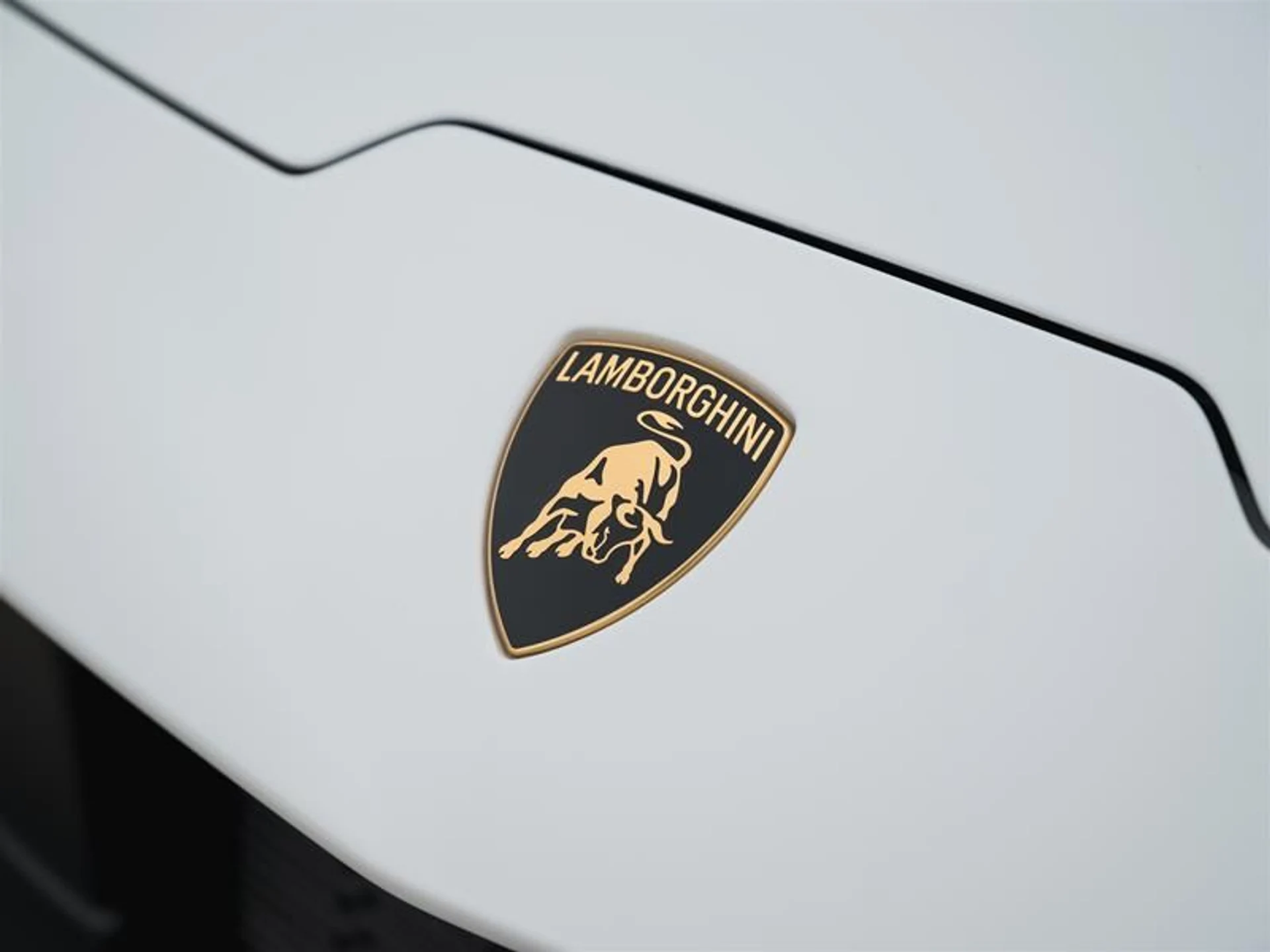 mph037_790029334_cqg1d2dd_8e49fff4c7