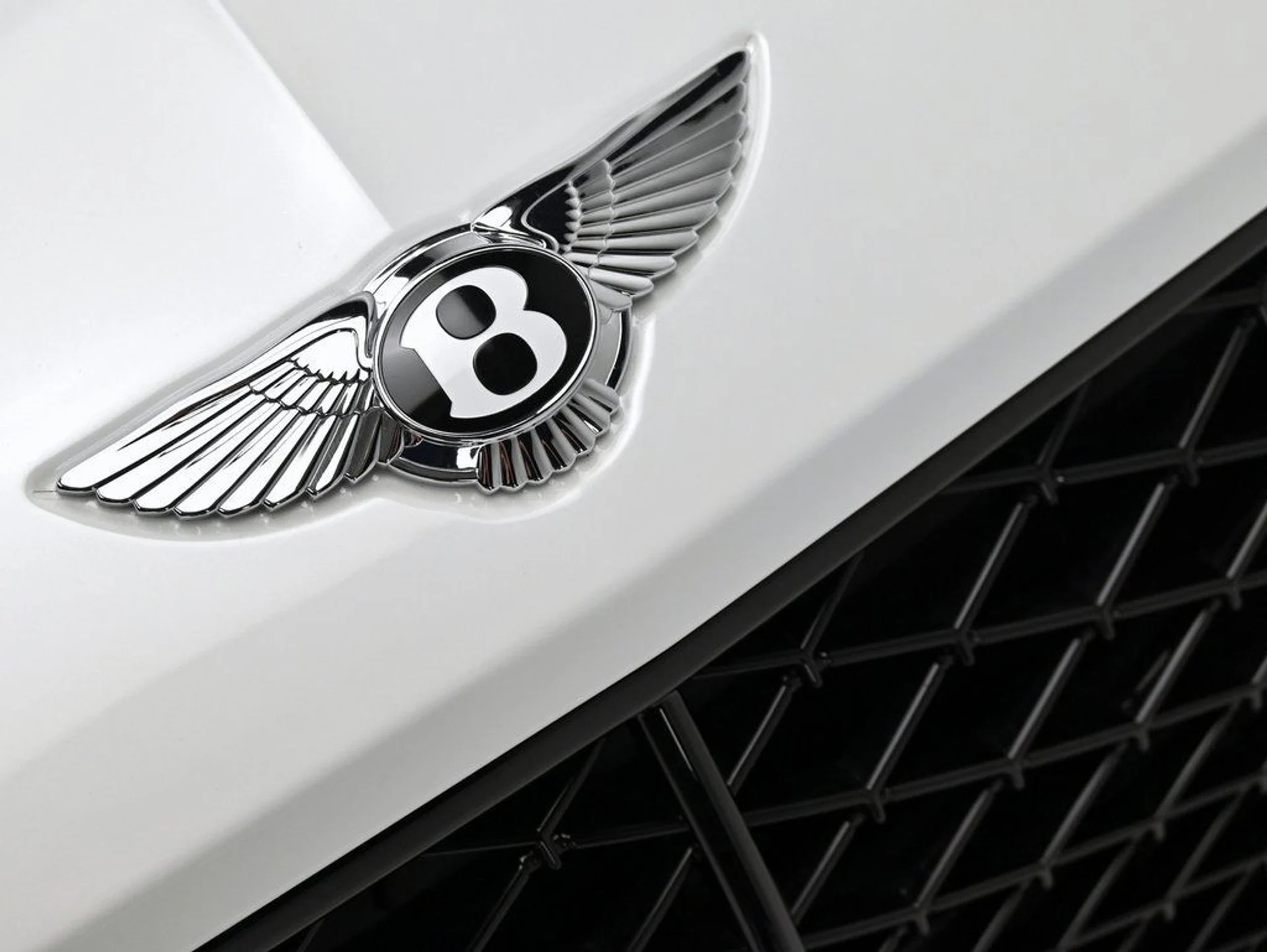 mph037_880533527_c8296286253b4f28a05aae3c16e5295b_c460278e02