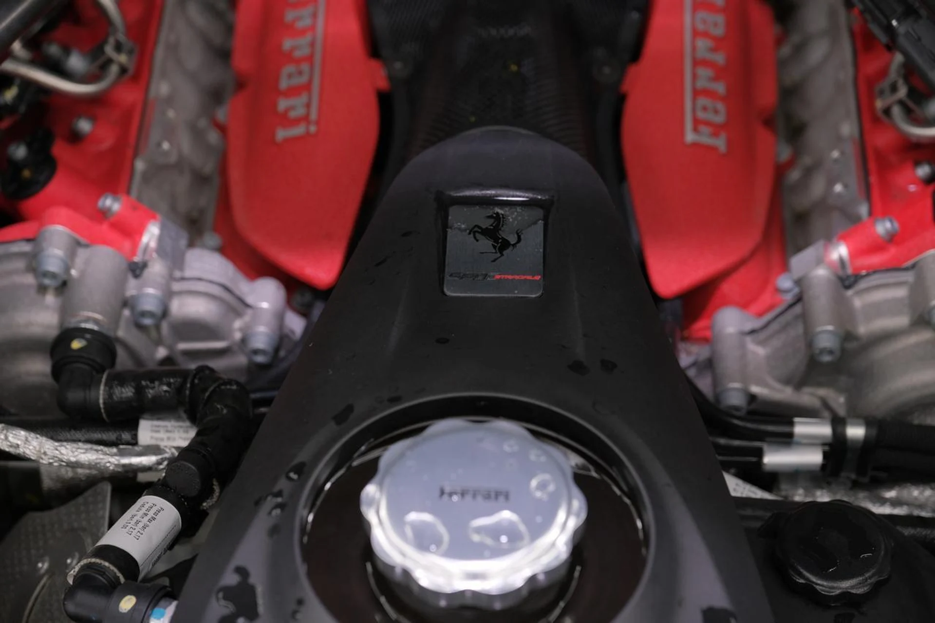 mph038_1094596221_aad41d9a8fd6c7ab0534df0d7629755a_e5536d99ea