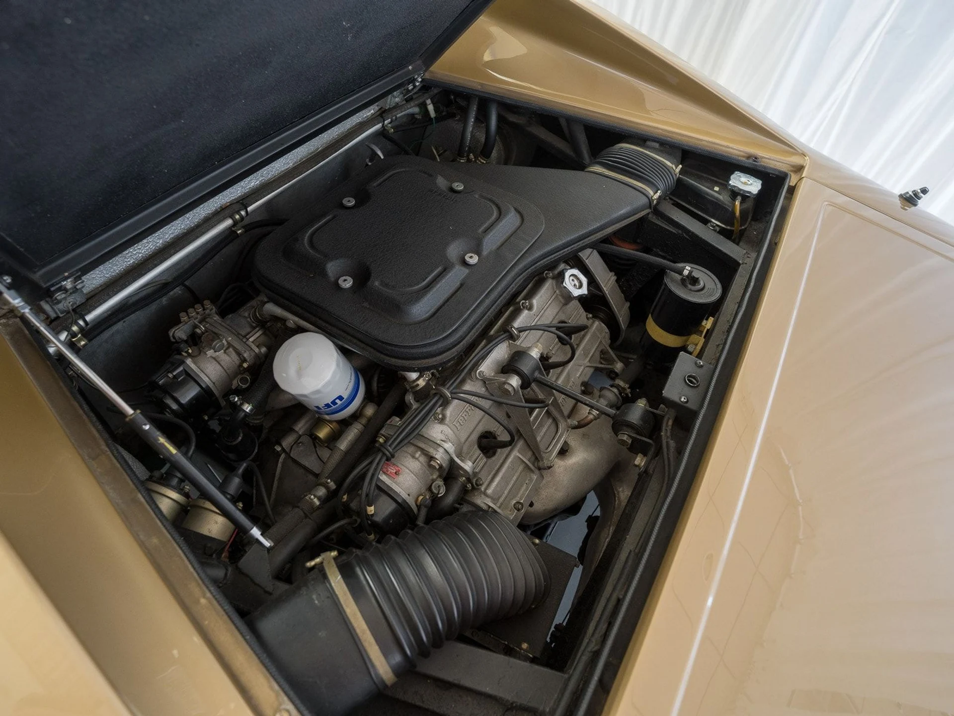 mph038_114400596_8b5c350164ca826a7e5a0e1b617b6682x_655a5abb33