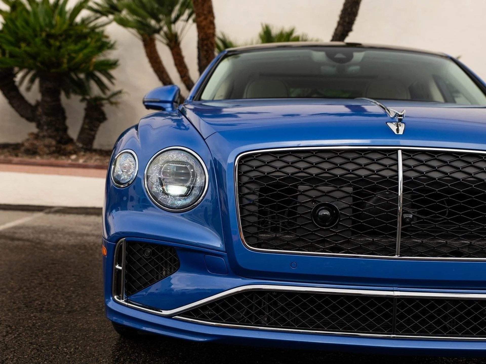 mph038_1390523950_7a8a8c6eb56ce5b19e427715785627b5x_a2c963710f