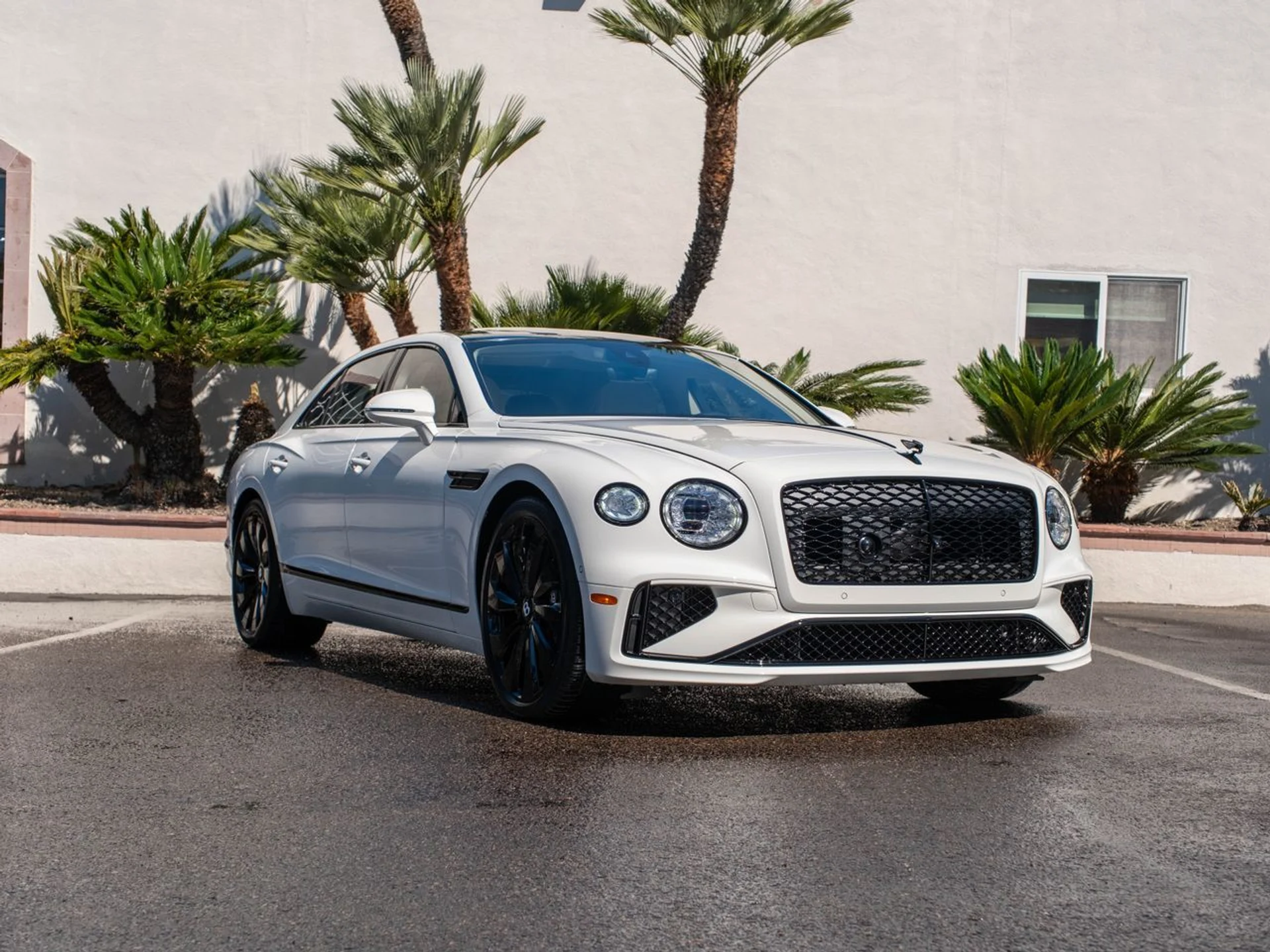 mph038_1444485051_9ea8cb790c510cce457125525644784ex_cd24218048