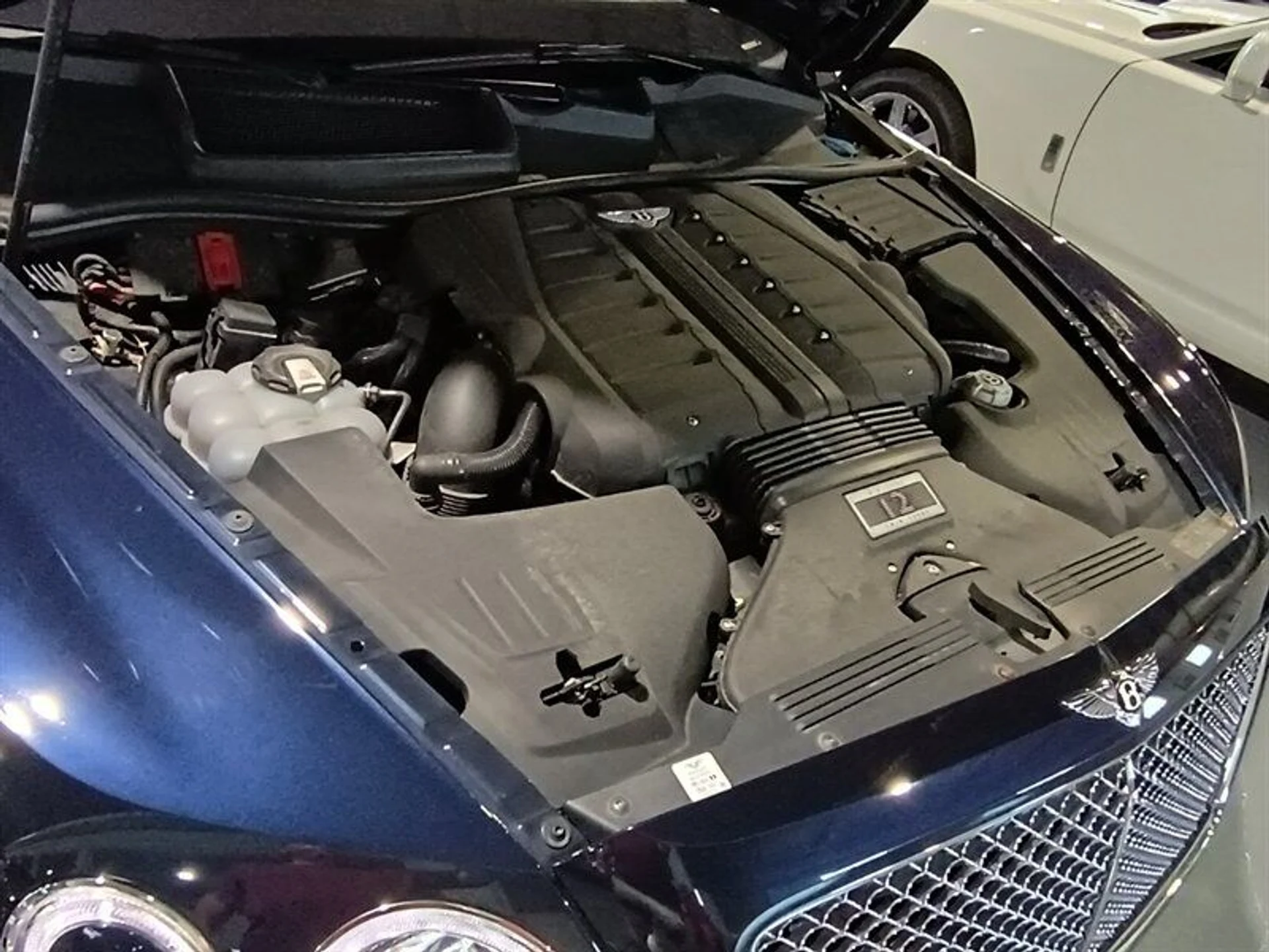 mph038_1520368347_73d27ac046_800_48a7971ddb