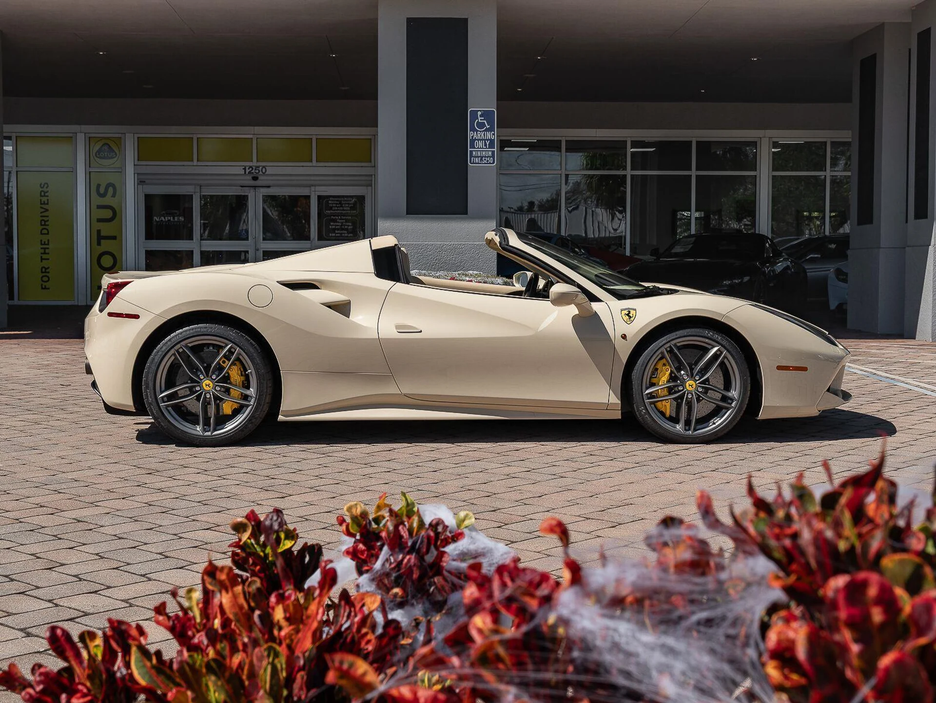 mph038_1776610228_Used_2016_ferrari_488_Spider_2dr_Conv_1785783817_14d71e9d0f