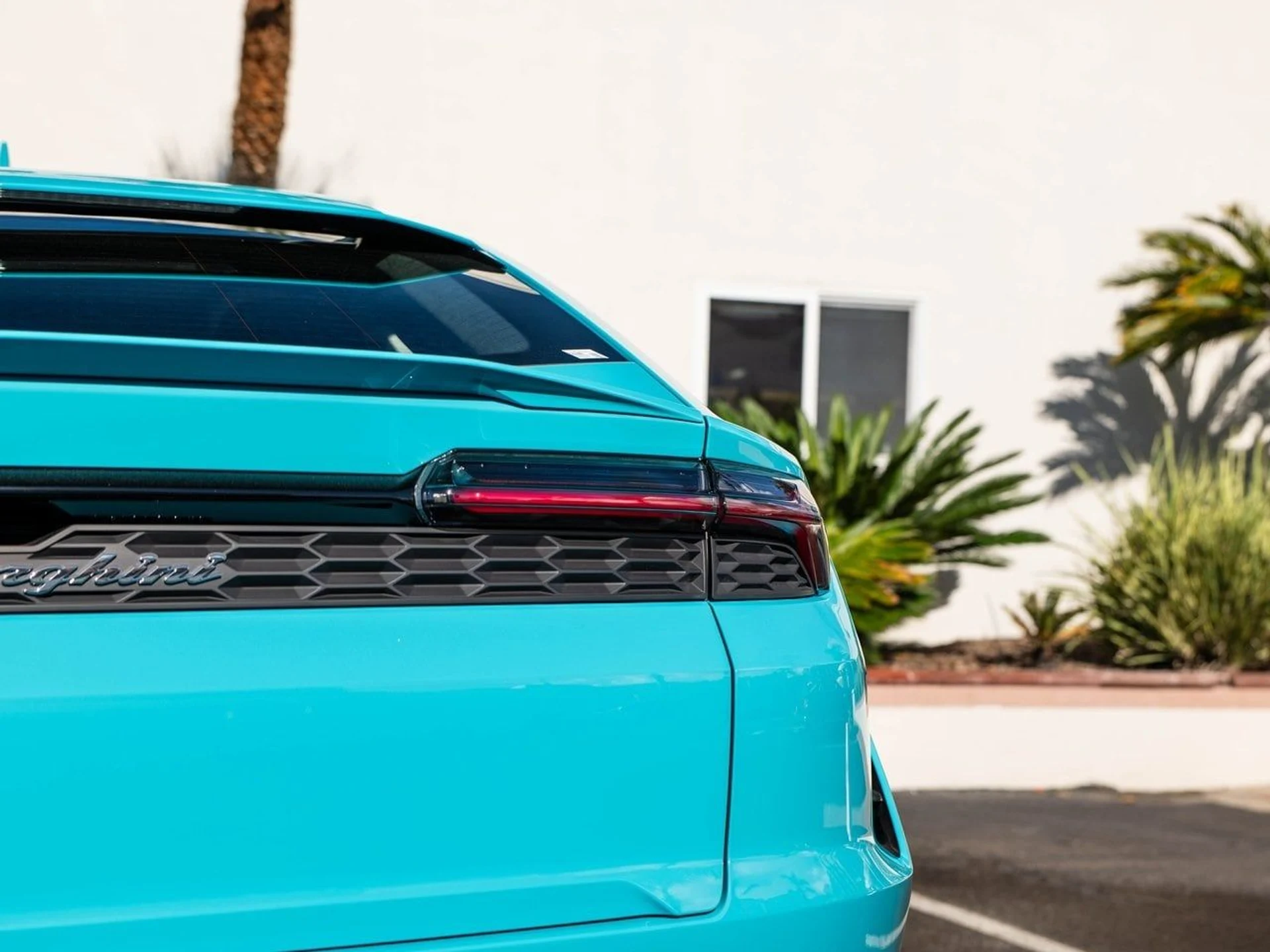 mph038_1826301057_e009ae51b9cd4ec2ade4063dd8c84daax_4122da7f79