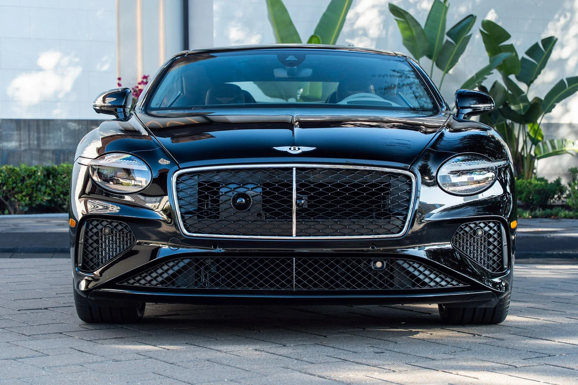 mph038_1895446781_470962001_6926a34b14403a7e7b9d7a6e_57bb70f0a6