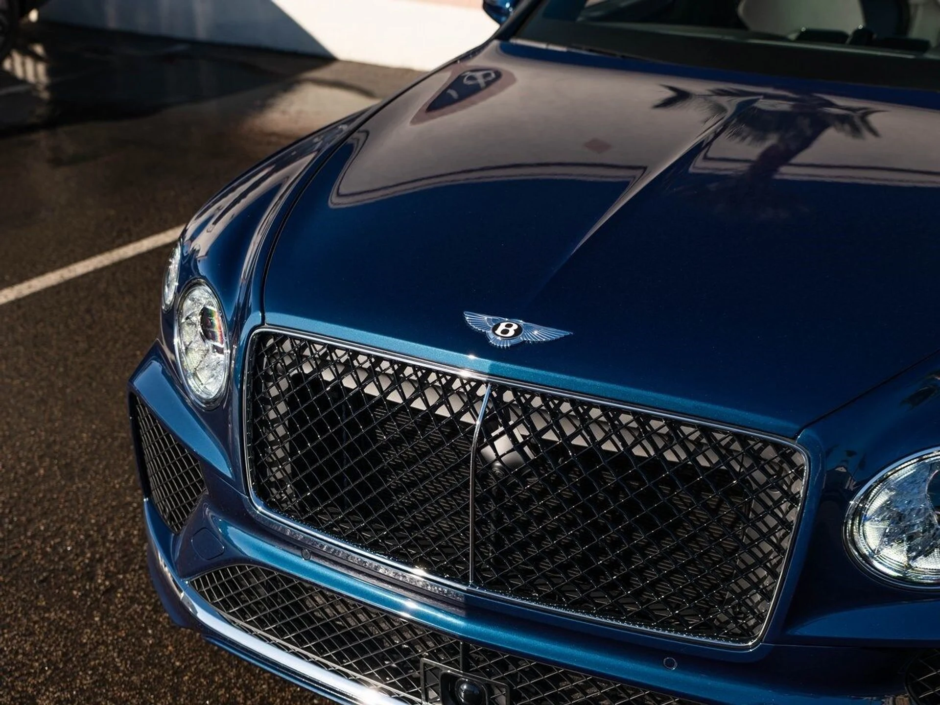 mph038_205109963_a144e0c750e69c6c5677419ea92002e1x_2b5eed5913