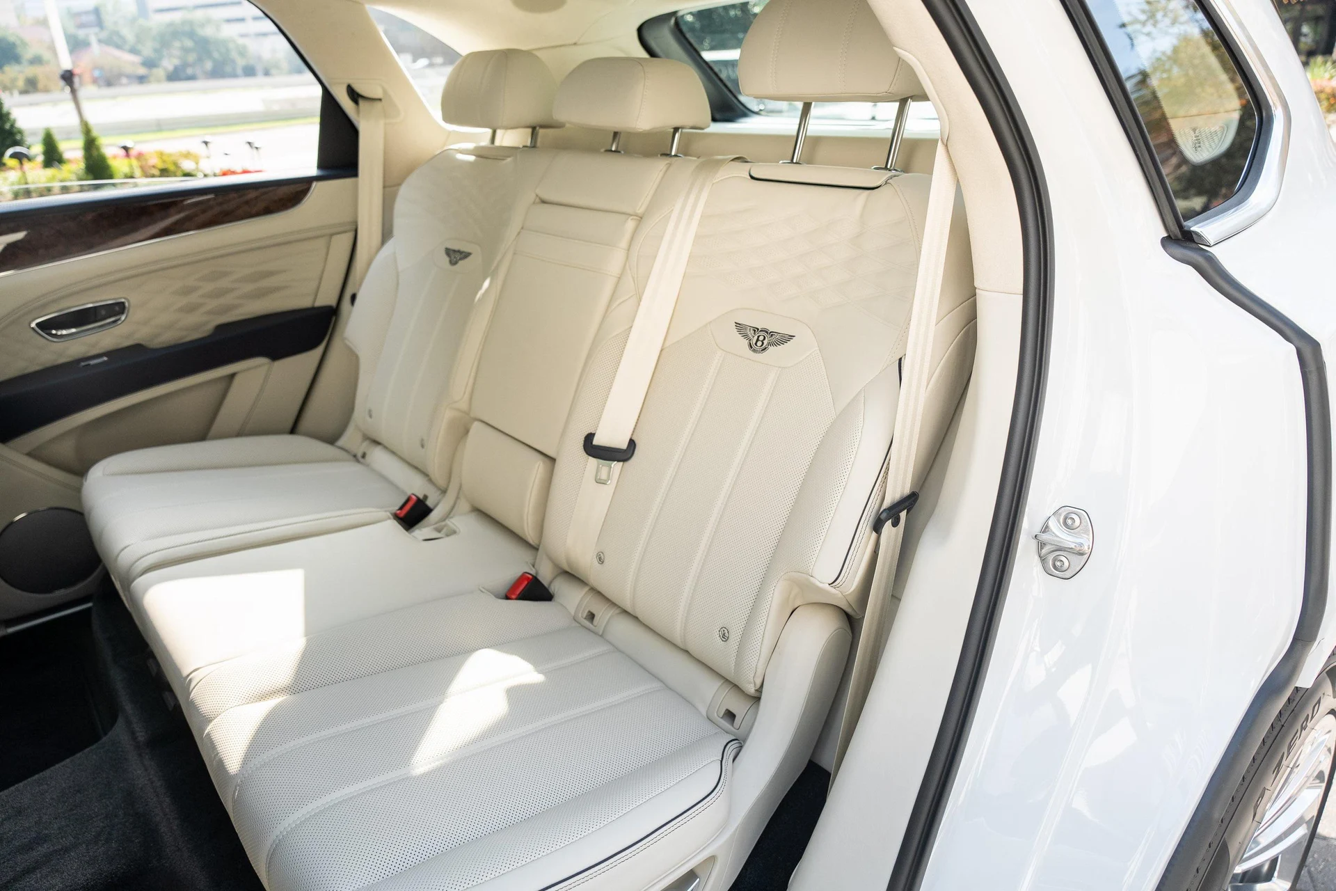 mph038_2153134780_389622358_677365552b7a94b33fd41a69_83a05ed3ba