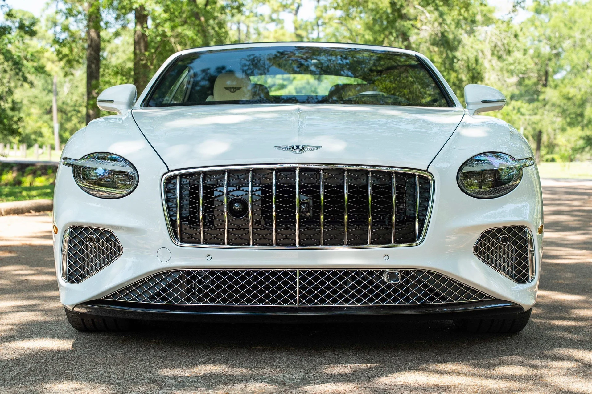 mph038_2232186179_451284869_695f546e9054447ae61080bc_26ff35d6ae