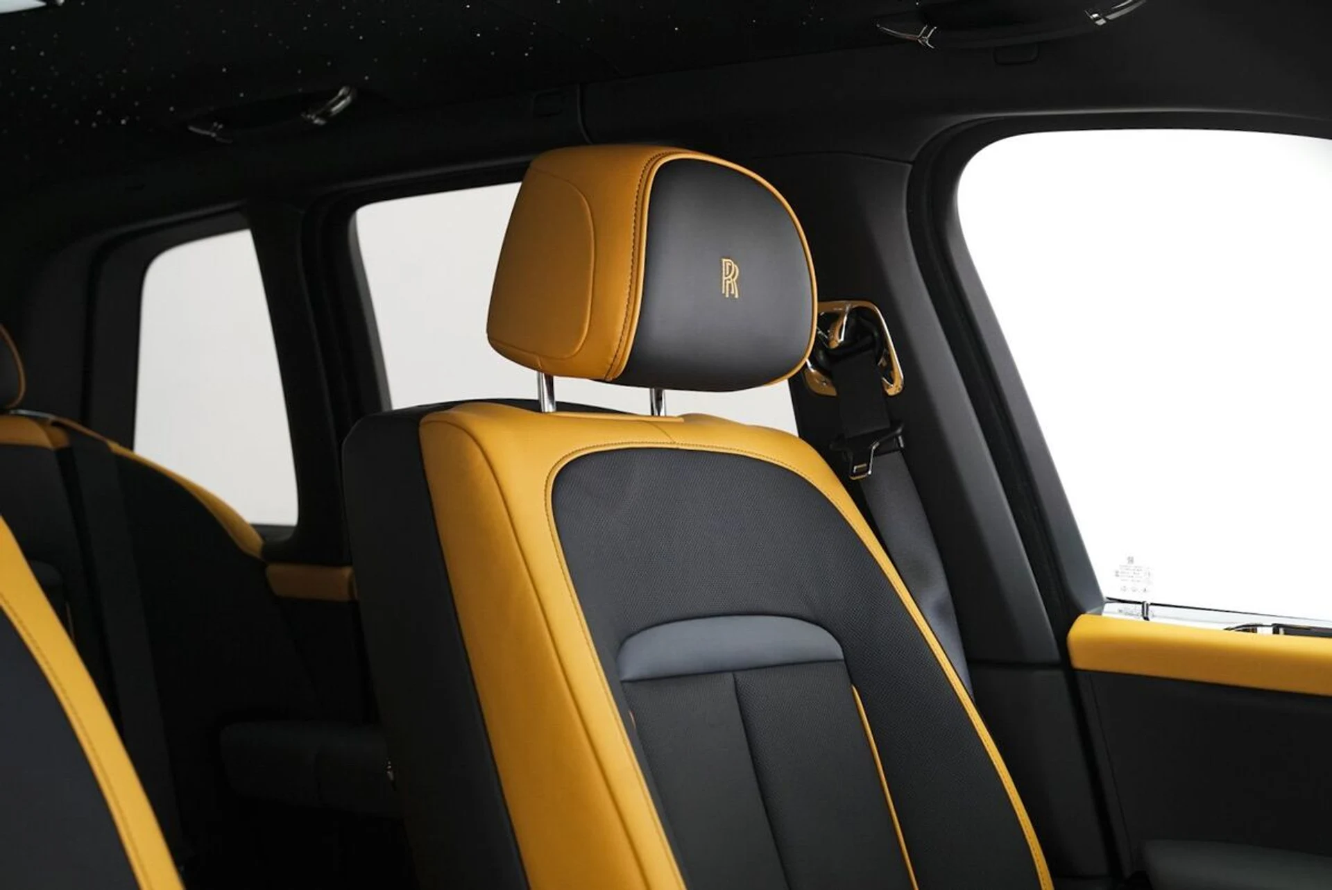 mph038_2264550605_f8wj5u1co8fe8jthov5izxevsfiu_159f78e35a