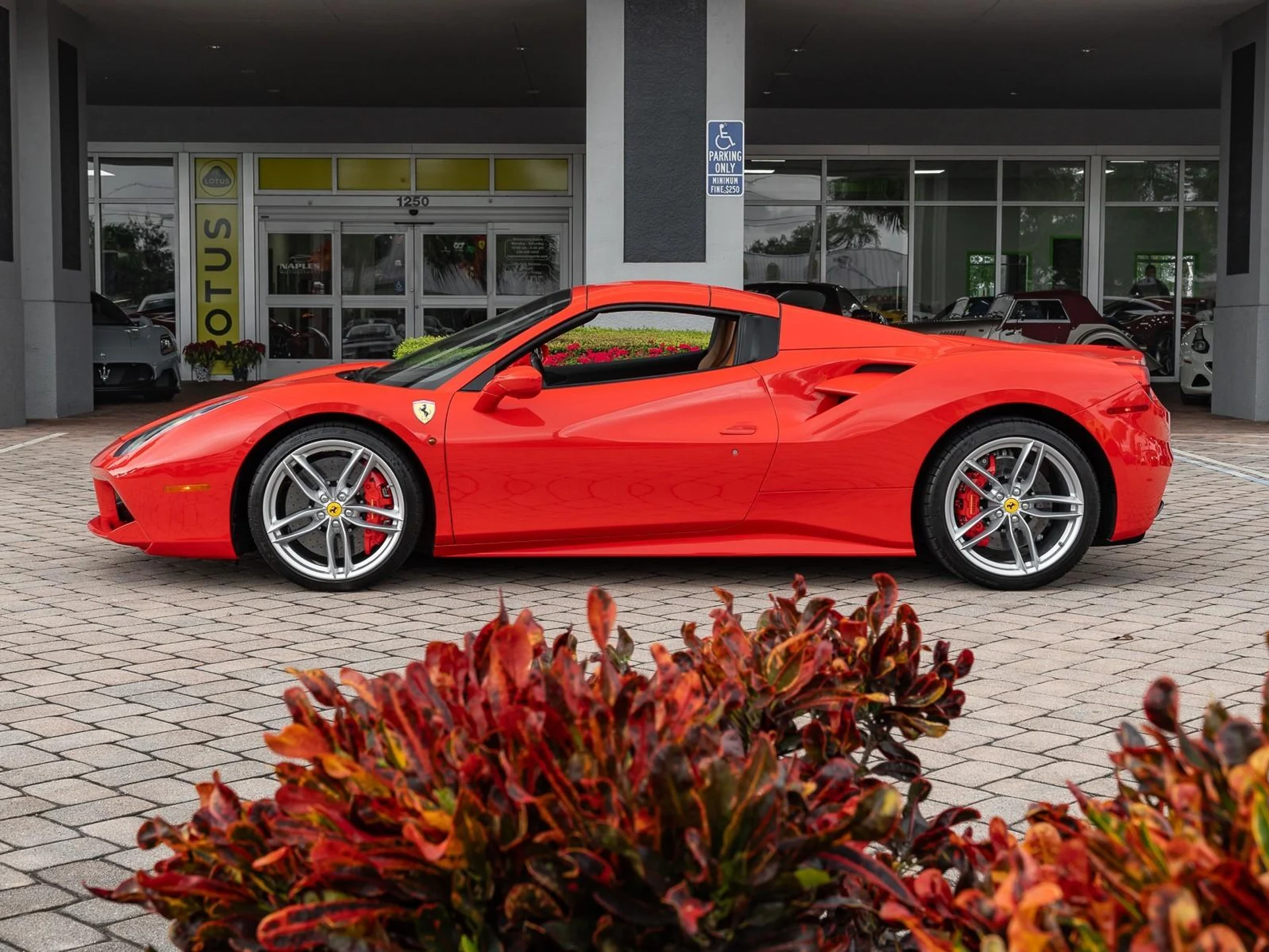 mph038_2278397313_Used_2019_Ferrari_488_Spider_Convertible_1771513881_11603e541e