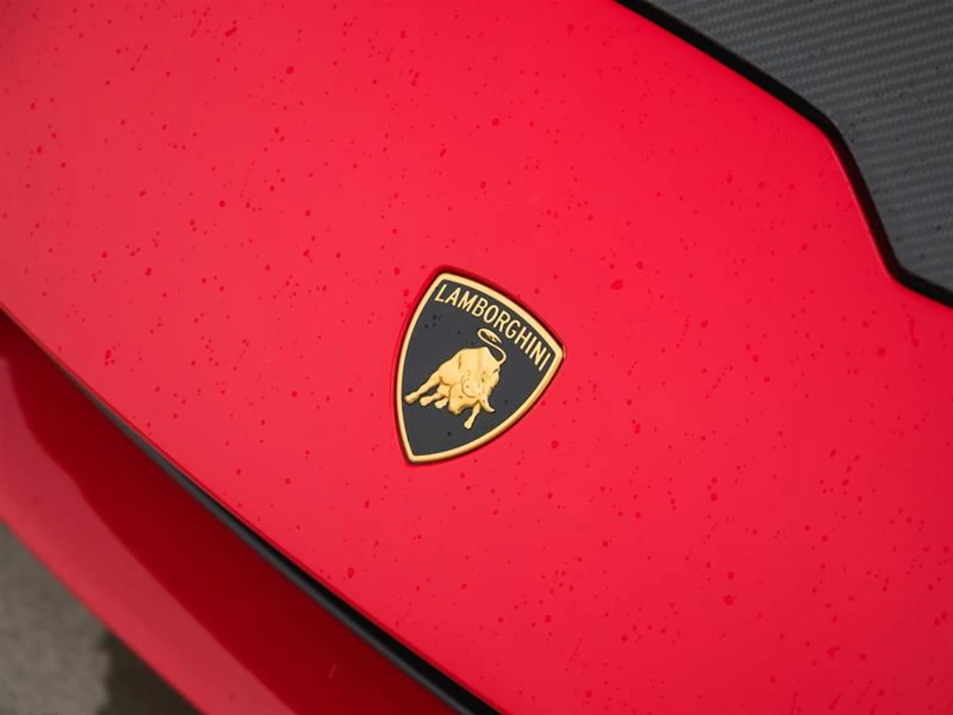 mph038_2355648034_g3r24iaf_747520f6b6