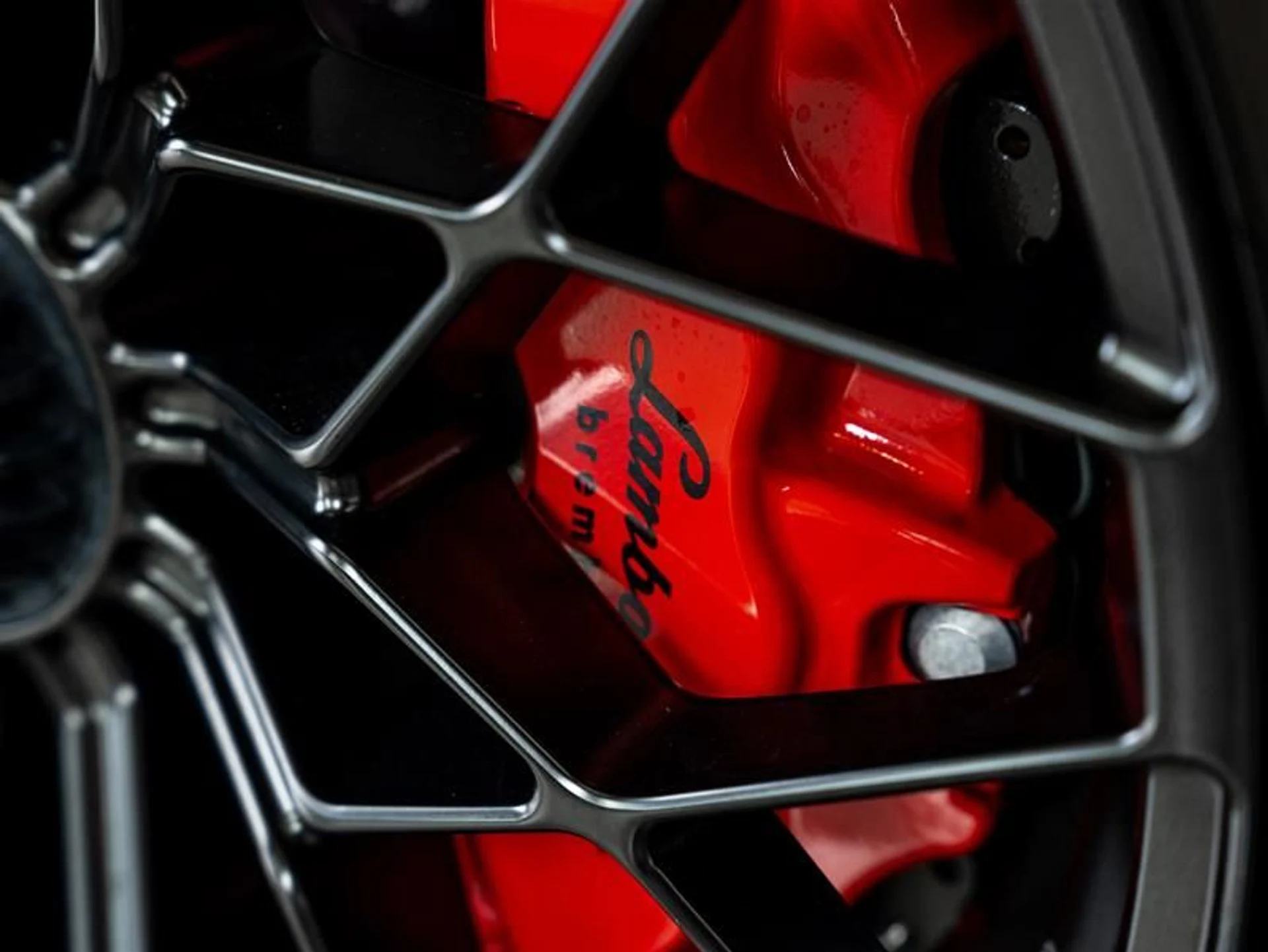 mph038_2373279778_r1kelbv0_0bb12eb525