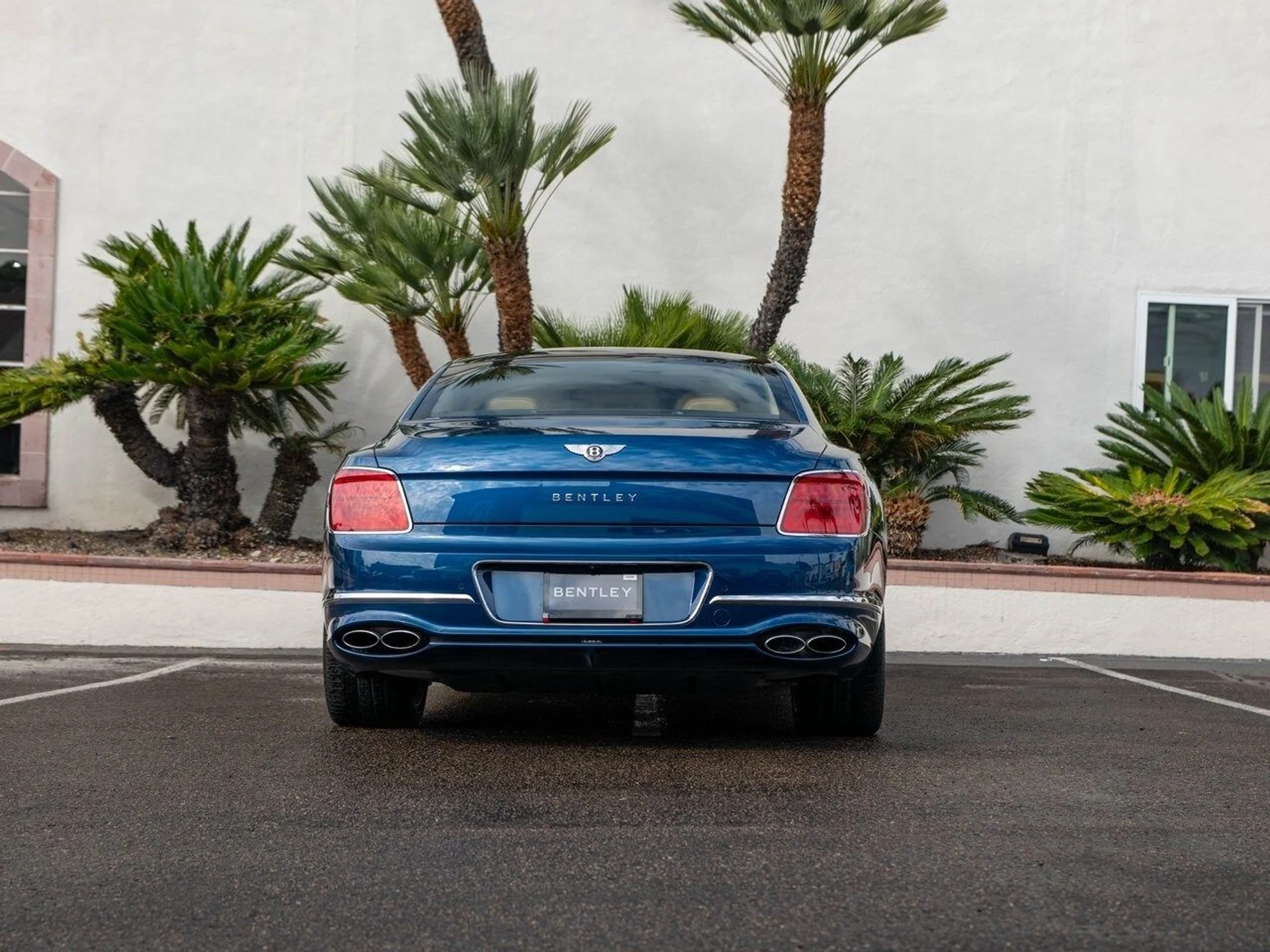 mph038_2444543933_2aee82799e1250cdeda226cafb35862bx_4d08185d6a