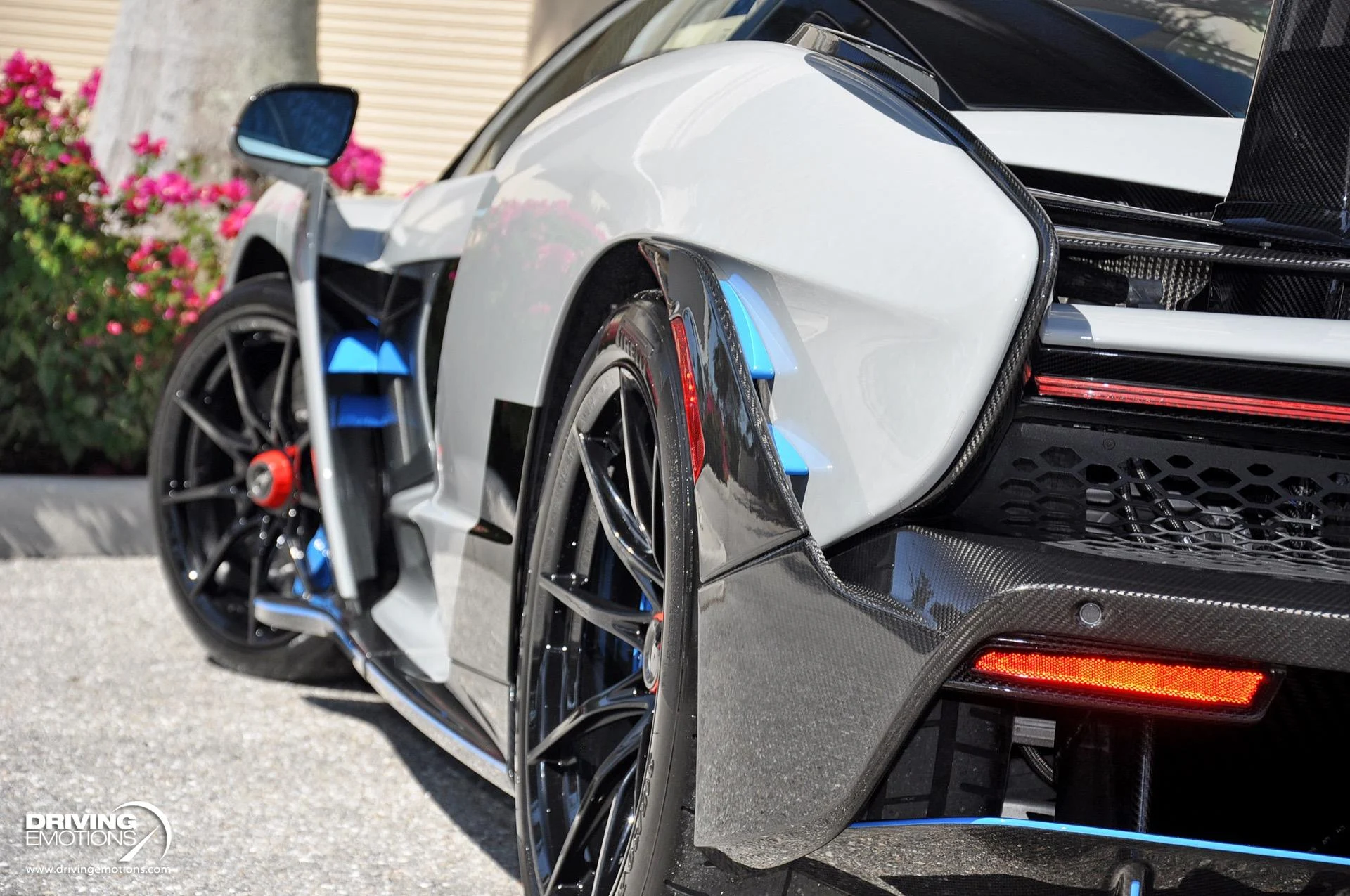 mph038_250082561_683_p39_l_69487e80d8