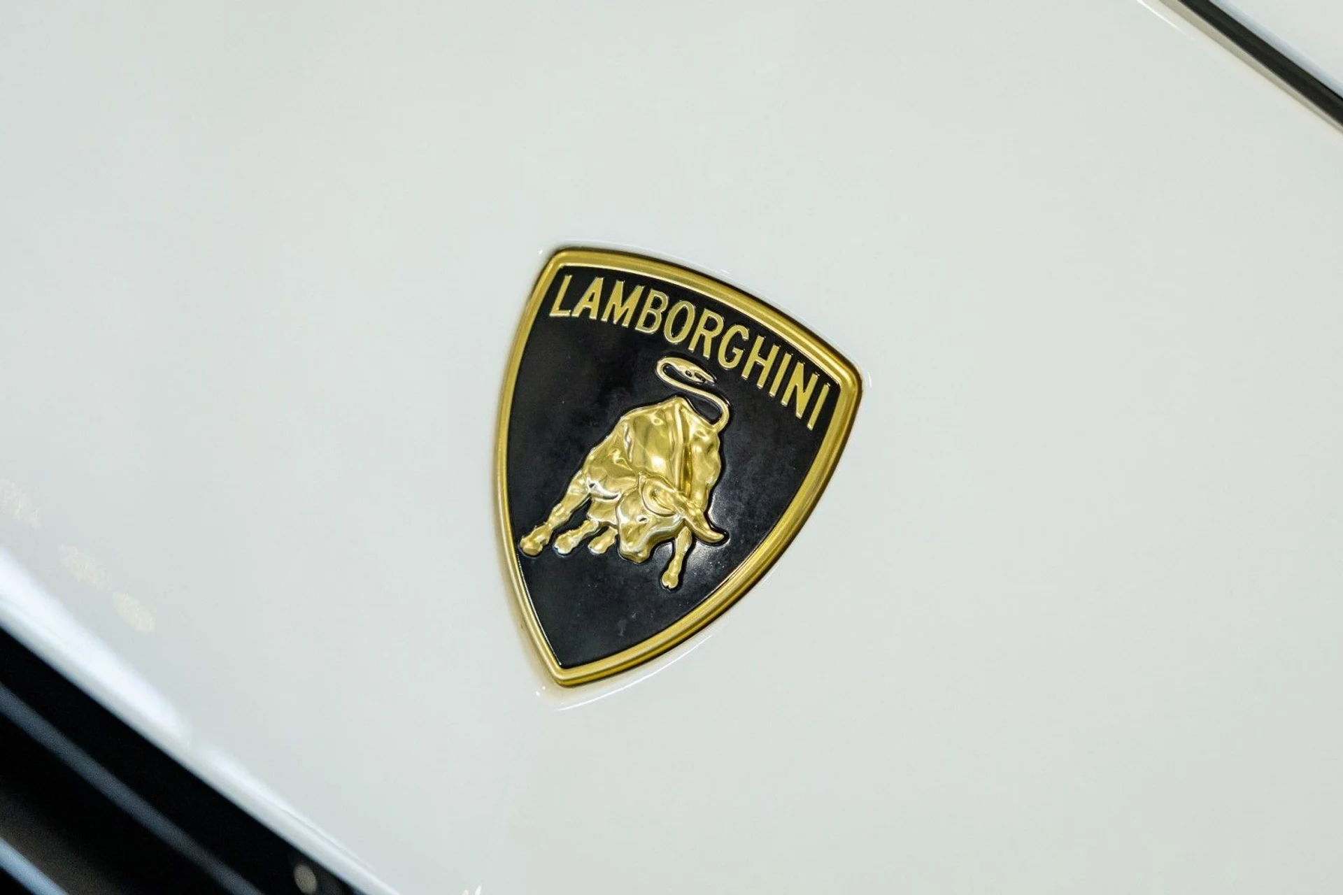 mph038_2528649603_hg_e0f33746ef